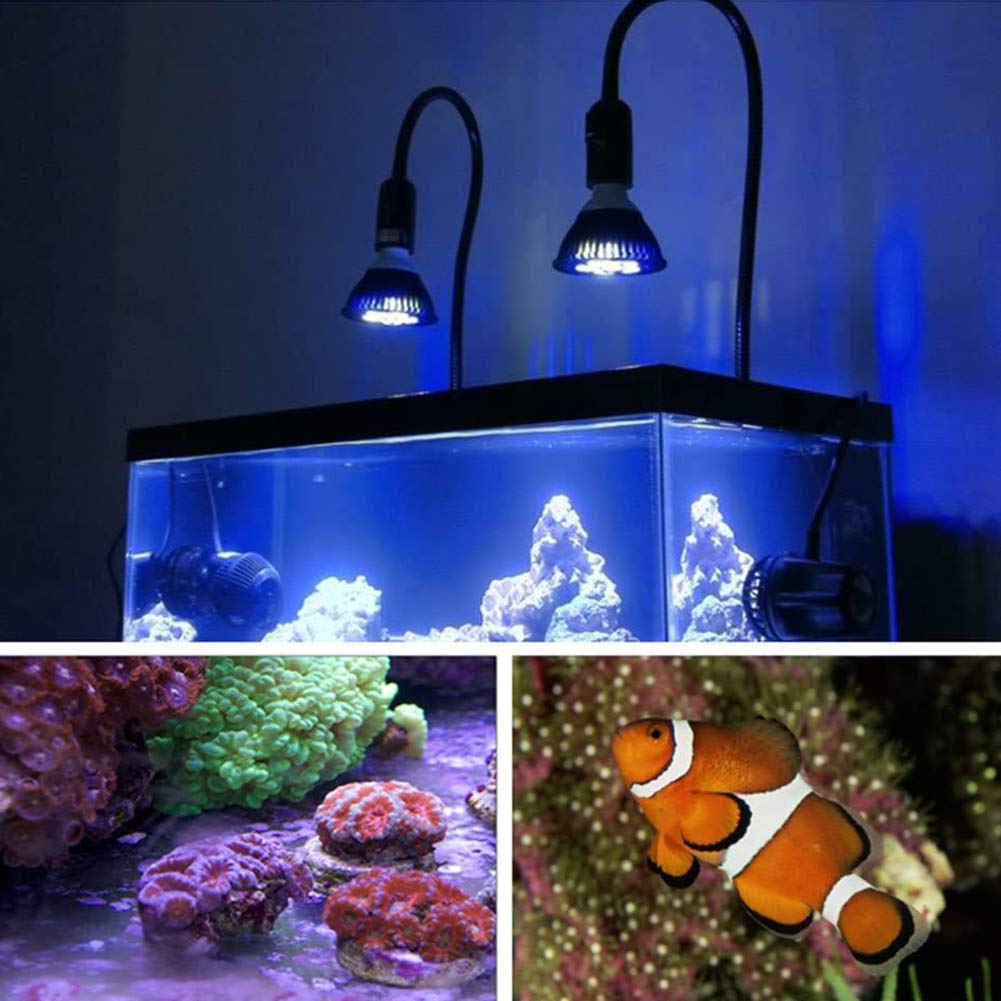 Antony 36W Blue LED Plant Grow Light Bulb - Full Spectrum E26 Grow Lamp for Greenhouse, Hydroponic, Bloom & Fruiting - Perfect for Indoor Gardening, Seed Starting & Plant Growth Enhancement