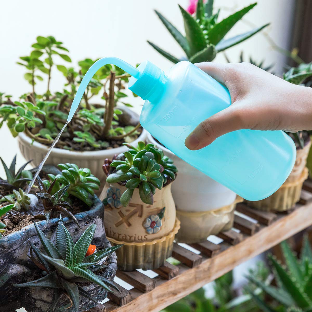 Oubest 500ml Squeeze Washing Bottle - 3 Pack Blue Plastic Plant Watering Bottle for Succulents, Irrigation & Cleaning | Perfect for Gardening, Home Plants & Car Washing
