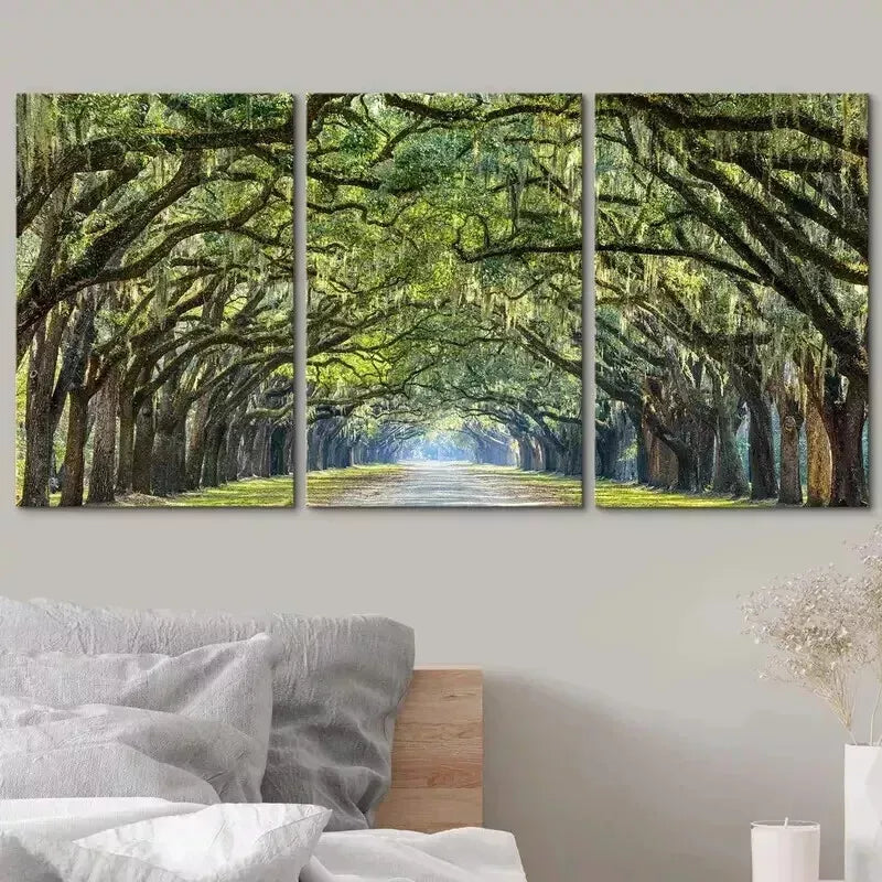 3-Piece Tree Arches Natural Wilderness Wall Art Set - Framed Canvas Prints 50x70cm - High Quality Australian Made Wall Decor - Perfect for Living Room, Bedroom & Office Decor