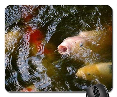 Fish Themed Gaming Mouse Pad - 5mm Thick Non-Slip Rubber Base - Perfect for PC, Laptop & Office Use