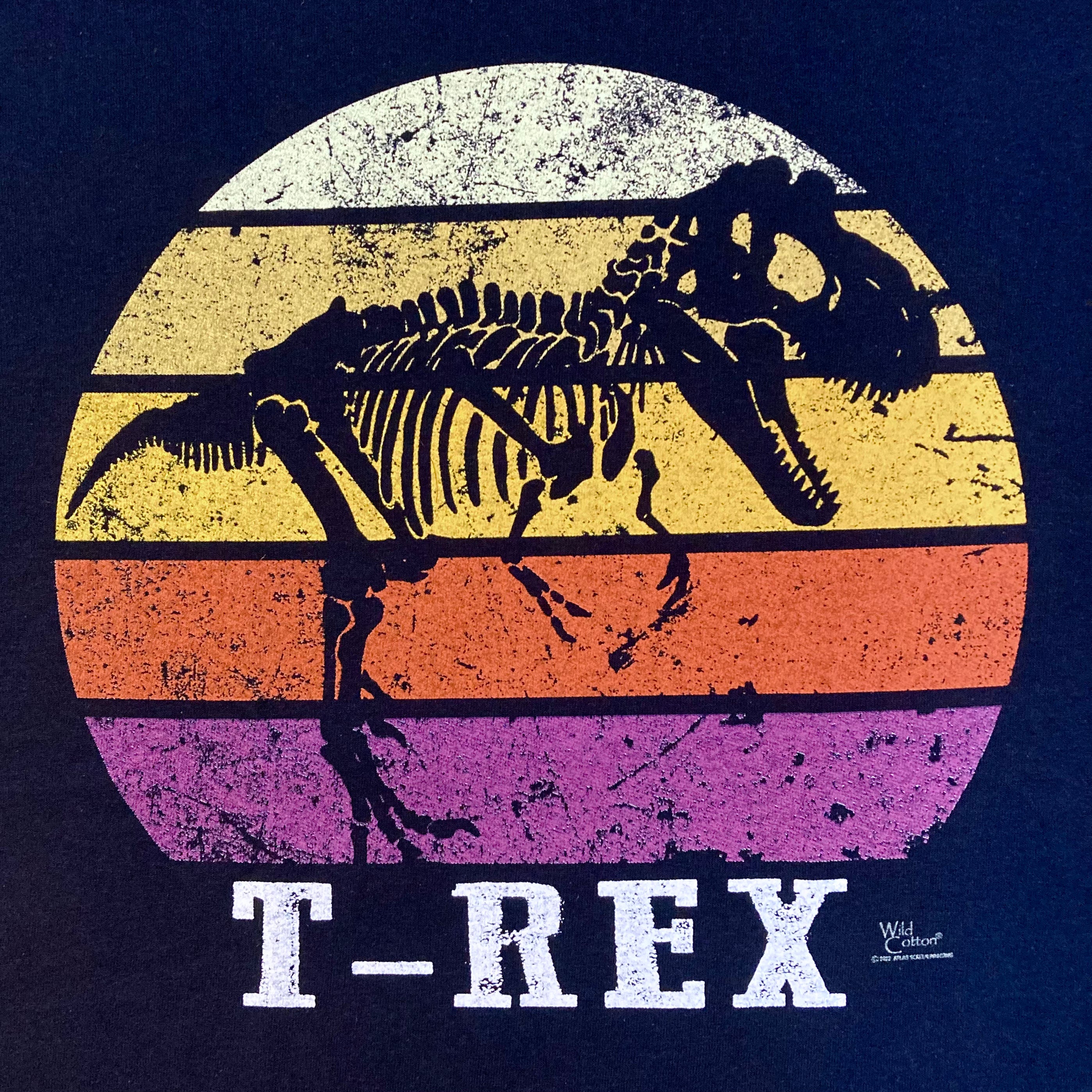 T-Rex Sundown Graphic T-Shirt for Men - Cool Dinosaur Print Tee for Casual Wear, Outdoor Adventures & Everyday Style