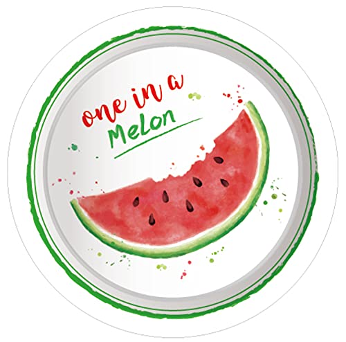 One in a Melon Watermelon Party Supplies Set - 257 Pieces Including Disposable Plates, Banners, Tablecloths, Cups & Balloons for Summer BBQs, Birthday Parties & Baby Showers