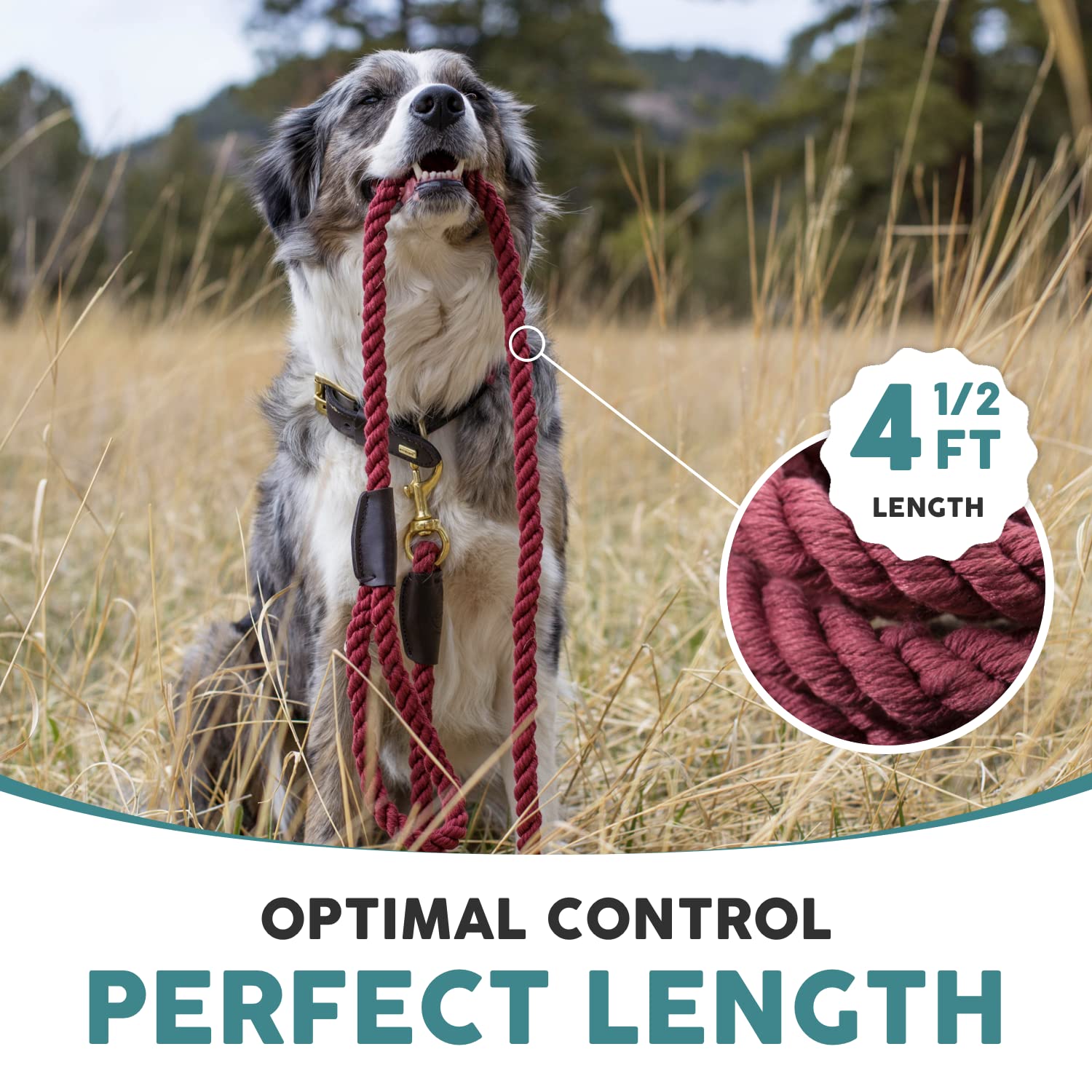 Embark Pets Country Dog Rope Leash - Durable Braided Cotton Rope Leash for Small, Medium & Large Dogs (4.5 FT, Bordeaux Red) - Perfect for Walking, Training & Outdoor Adventures