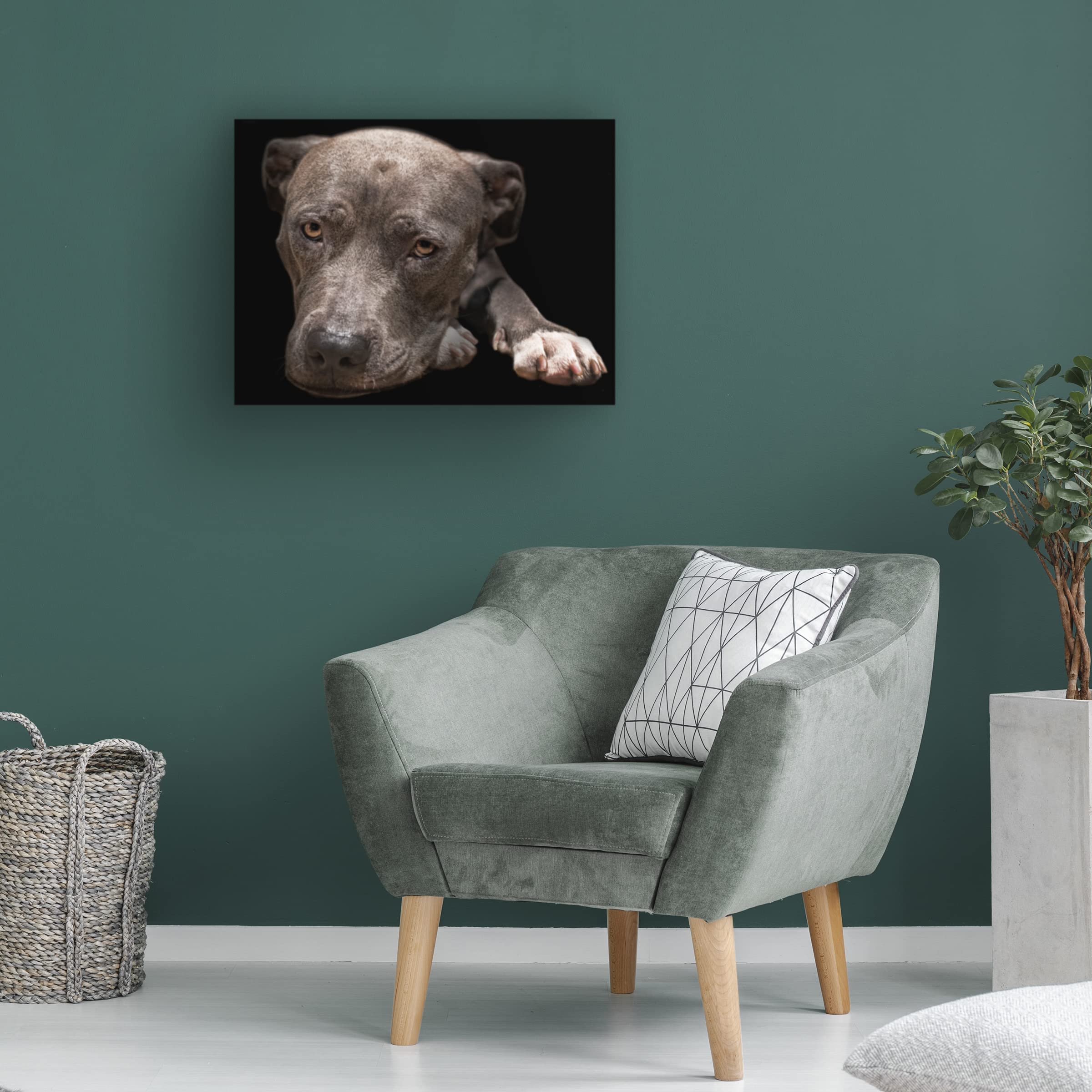 Trademark Fine Art 'Pit Bull Terrier' Canvas Wall Art by Lori Hutchison - Handmade Dog Painting for Living Room, Bedroom & Office Decor