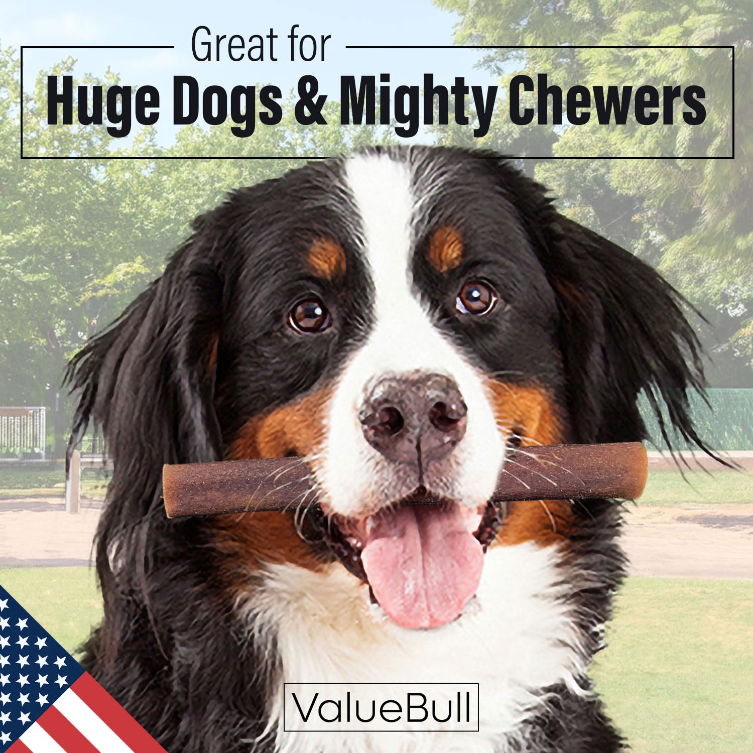 ValueBull USA 6-Inch Super Jumbo Collagen Sticks for Dogs - 25 Count | Natural Single-Ingredient Chew Treats | Healthy Alternative to Bully Sticks & Rawhide | Supports Hip & Joint, Skin & Coat Health | Long-Lasting Dental Chews for Medium & Large Dogs | Perfect for Training, Teething & Anxiety Relief