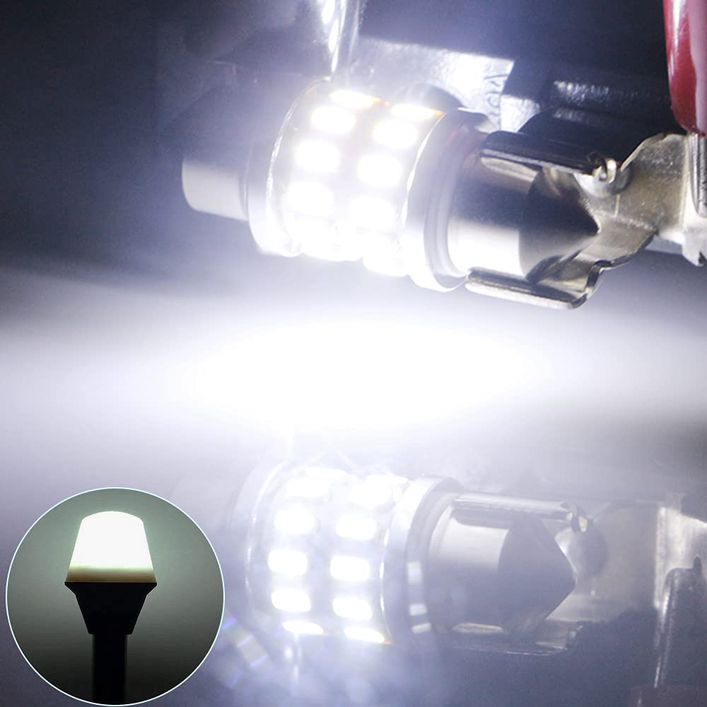 31MM 12V Marine LED Navigation Lights - White Festoon Boat Bow & Anchor Lights for Boats, Yachts, Sailboats (Pack of 2) | Perfect for Night Cruising, Docking & Water Safety