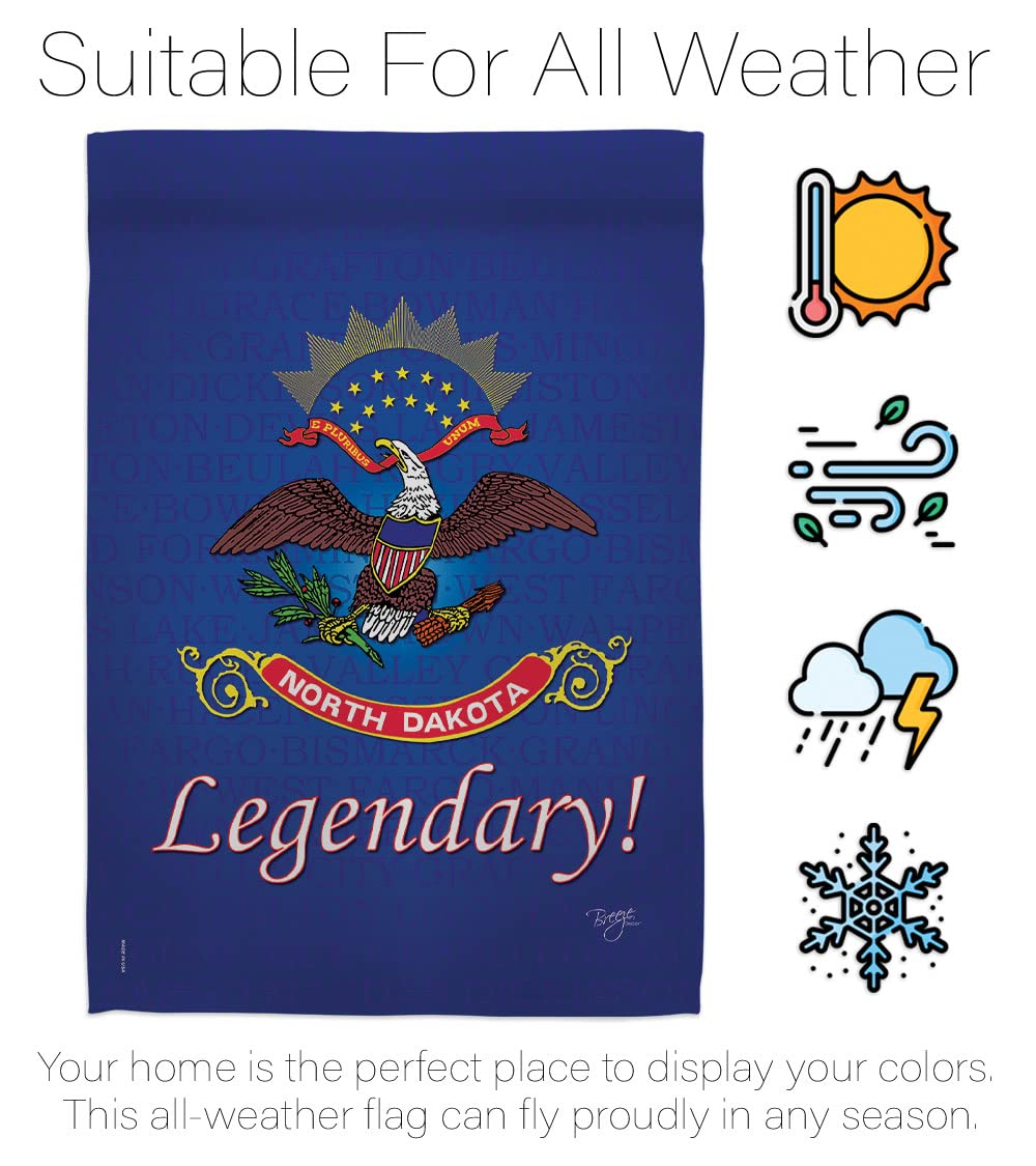 North Dakota Americana House Flag Set 28
