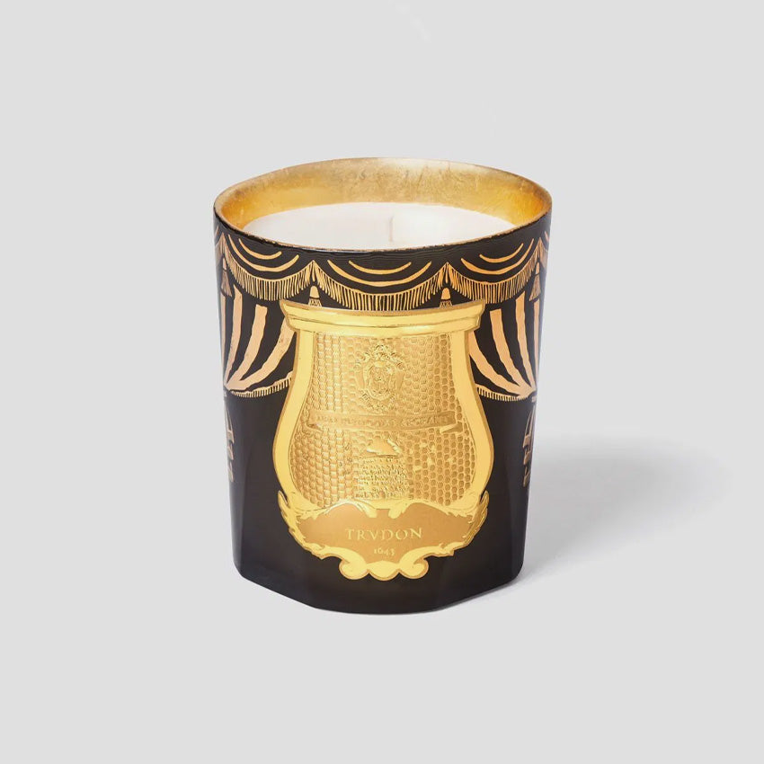 Premium Cire Trudon Fir Scented Candle - Luxury Holiday Home Fragrance for Christmas Decor, Cozy Winter Evenings & Romantic Gifts