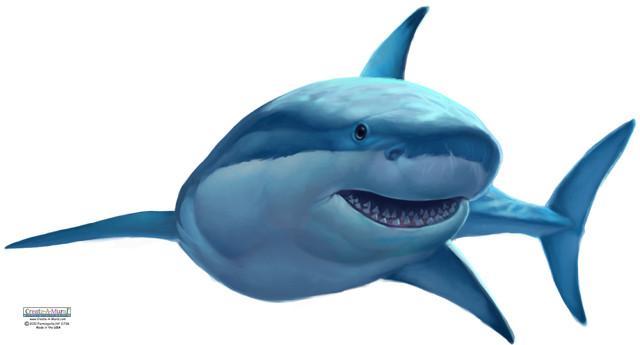 Shark Wall Decal Sticker - Realistic Ocean Shark Mural for Kids Room, Nursery, or Classroom Decor - Perfect for Underwater Theme Bedroom & Playroom