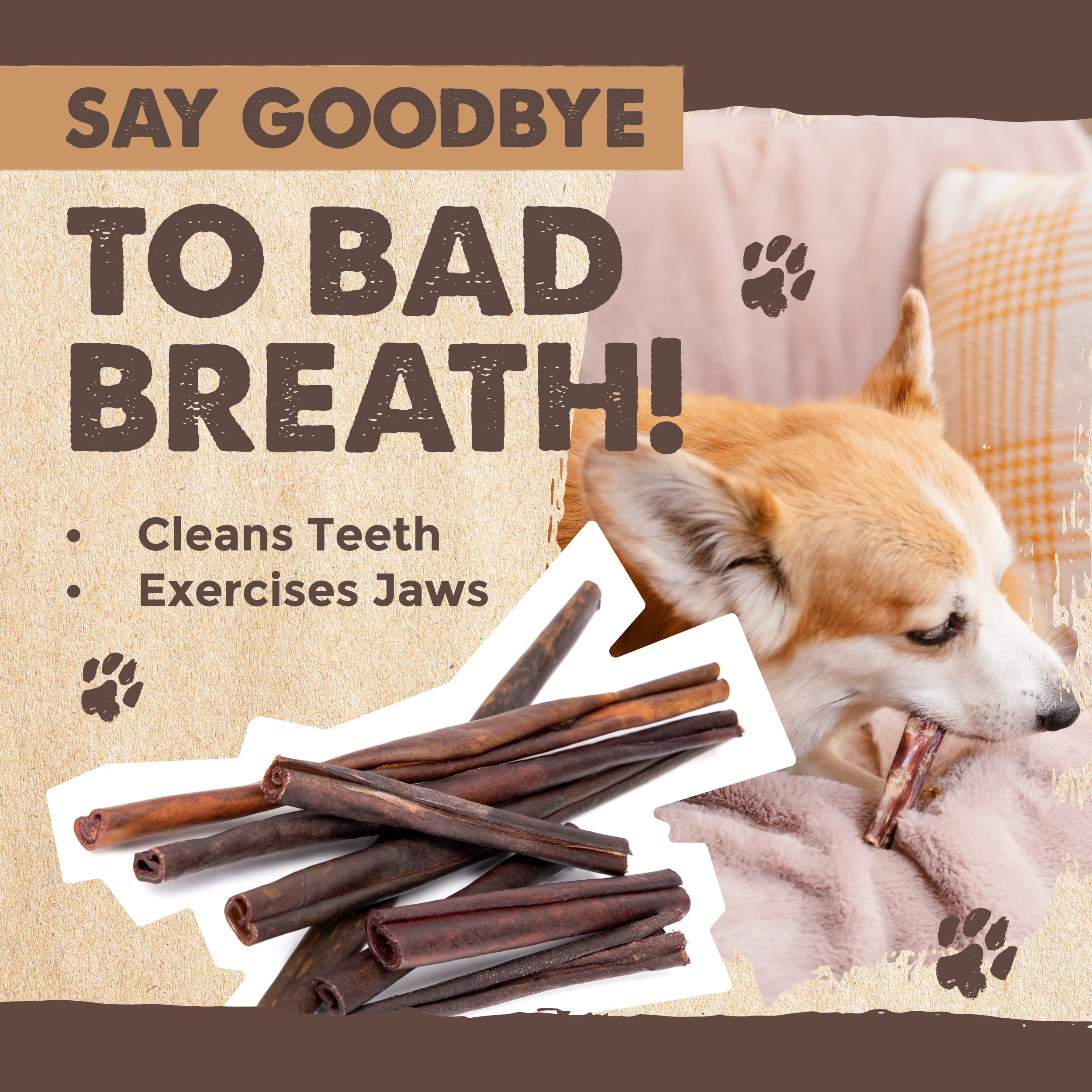 Premium Grass-Fed Beef Bully Sticks for Dogs - All-Natural, Low Odor Dog Chews for Small, Medium & Large Breeds (6 or 10 Pack) | Single Ingredient Dental Treats for Puppies & Adult Dogs - Perfect for Training, Teething & Long-Lasting Chewing Satisfaction