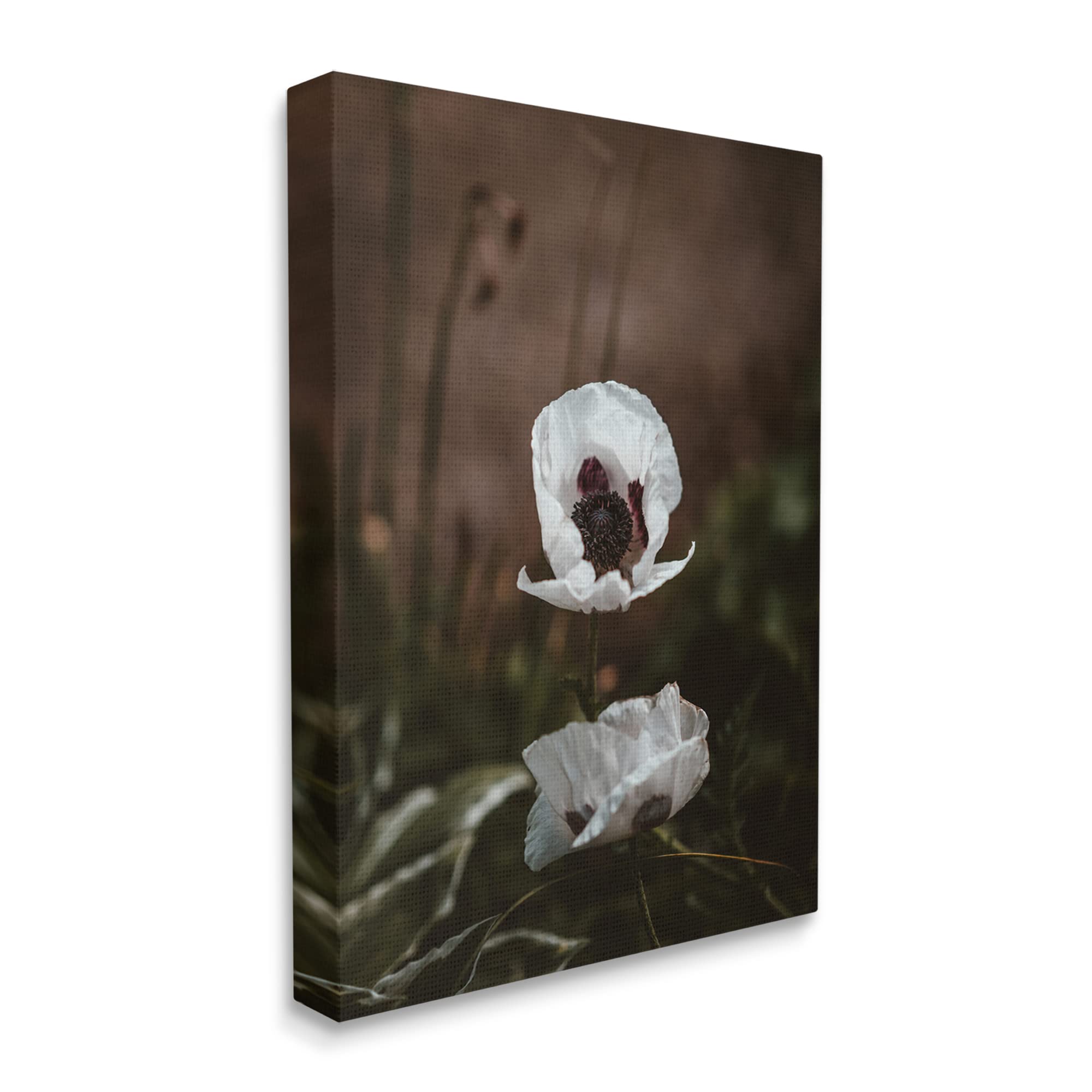 Stupell Industries Lonely White Flower Blossom Forest Photography Wall Art - Nature-Inspired Home Decor for Living Room, Bedroom & Office