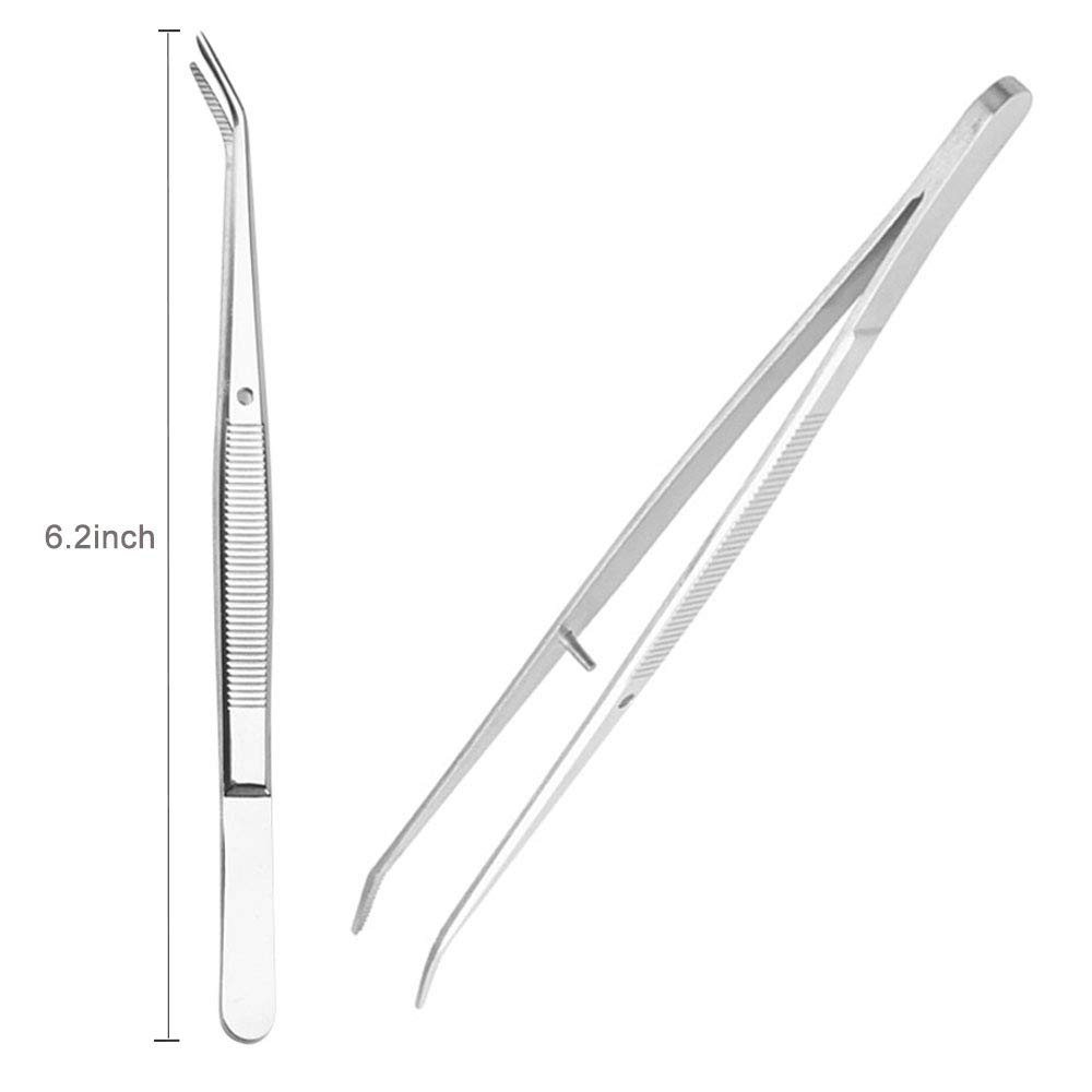 Premium Stainless Steel Dental Tweezers with Curved Serrated Tip - Multipurpose Dental Forceps for Oral Care, Denture Cleaning & Tooth Extraction - Perfect for Home Use, Dentists, and First Aid Kits
