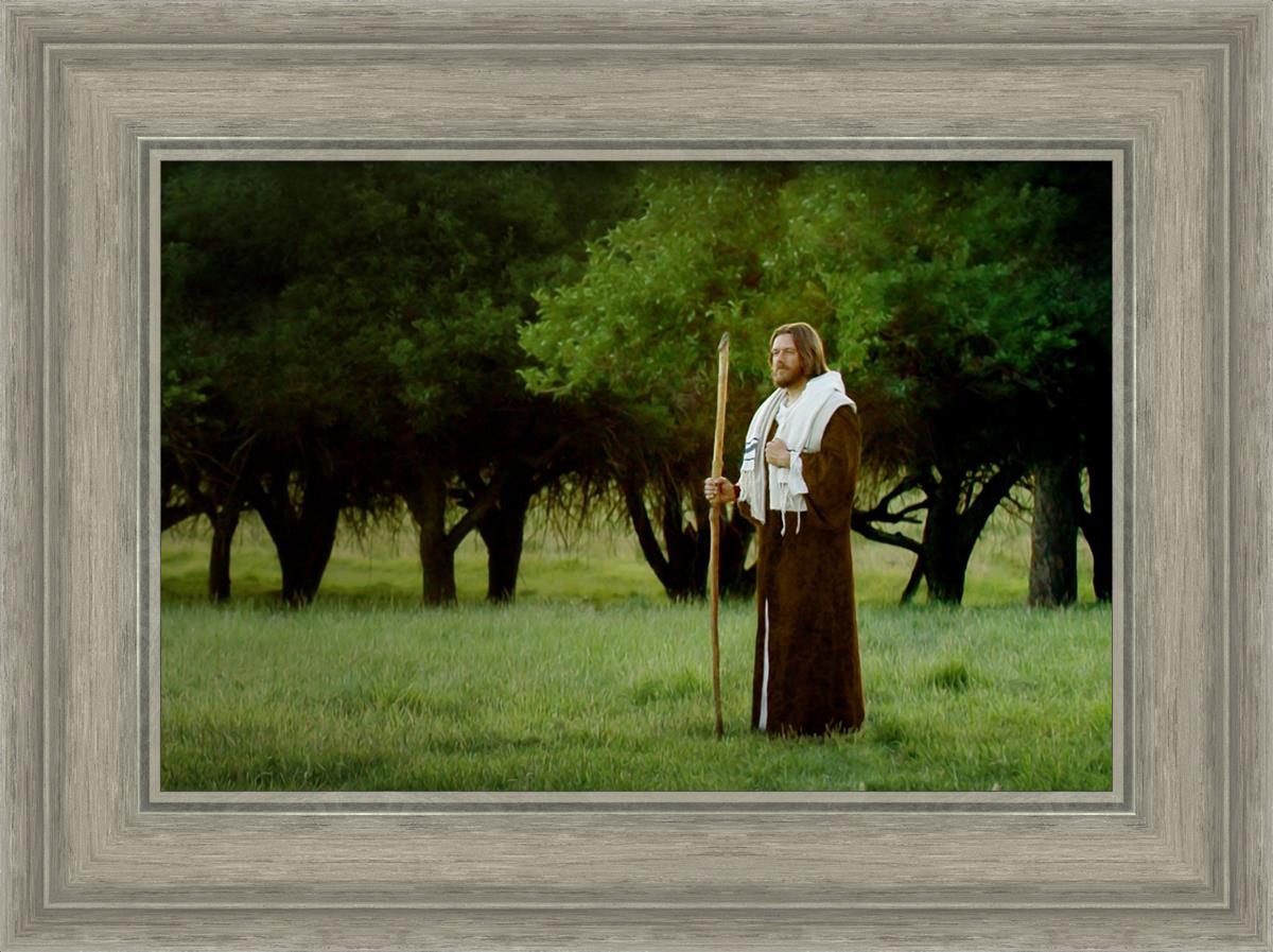 Lord Of The Vineyard - Premium Wine Accessories & Gifts for Wine Lovers | Perfect for Wine Tasting Parties, Vineyard Weddings & Home Decor