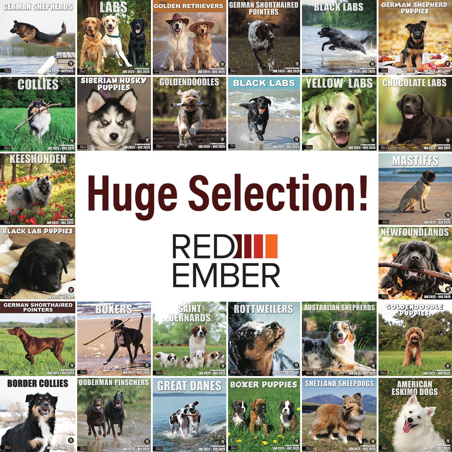 RED EMBER Goldendoodle Puppies 2025 Wall Calendar - 12 Month Large Format (12x24 Inches) with Thick Sturdy Paper | Perfect Gift for Dog Lovers | Home, Office & Classroom Decor | 2025 Dog Breed Calendar
