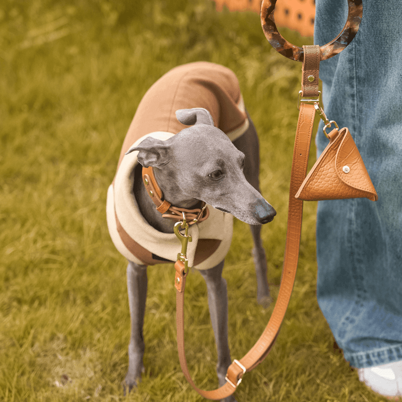 Premium Genuine Amber Leather Dog Leash - Durable & Stylish for Small Medium Large Dogs - Perfect for Daily Walks, Training & Outdoor Adventures