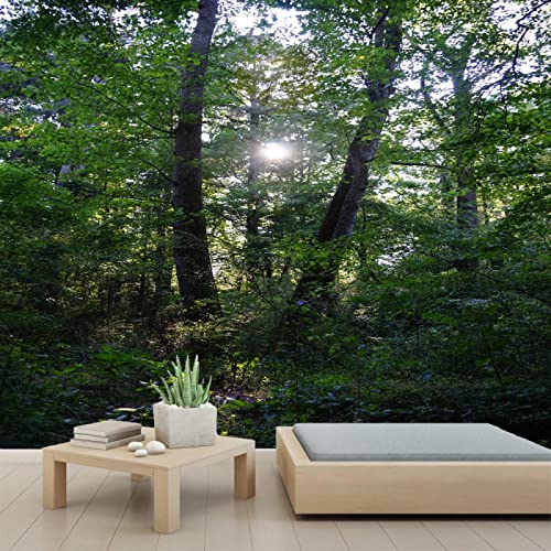 3D Forest Trees Wall Mural - Peel and Stick PVC Self-Adhesive Wallpaper - 110