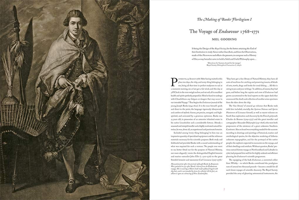 Joseph Banks' Florilegium: Rare Botanical Prints from Captain Cook's First Voyage - Perfect for History Lovers, Botanical Art Collectors, and Home Decor
