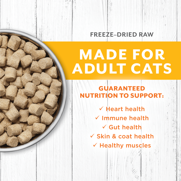 Instinct Raw Longevity Chicken Recipe 100% Freeze Dried Cat Food for Adult Cats - 9.5oz Bag - High Protein Grain Free Kibble for Indoor & Outdoor Cats - Perfect for Mealtime & Training Treats