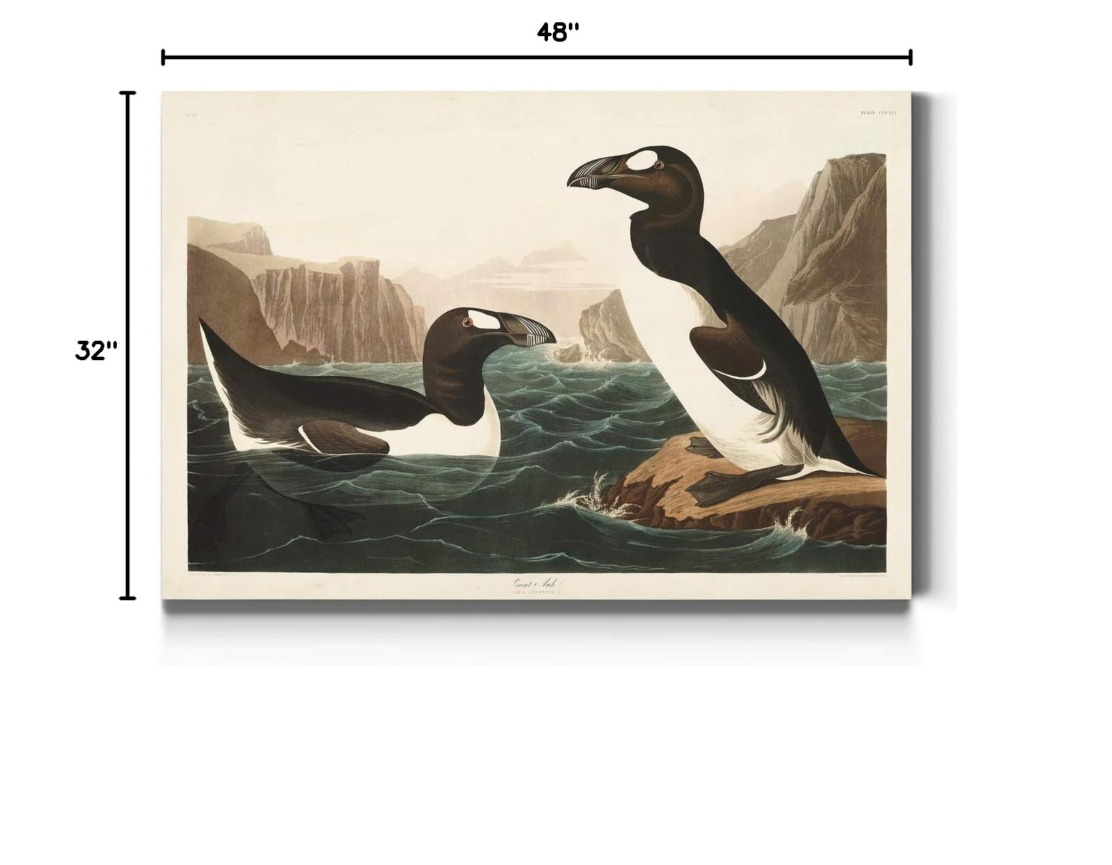 John James Audubon Great Auk Premium Canvas Wall Art - Vibrant Classic Bird Painting - 32x48 Inch Gallery Wrapped Ready-to-Hang Decor - Made in USA - Perfect for Living Room, Office or Nature-Themed Interior Design