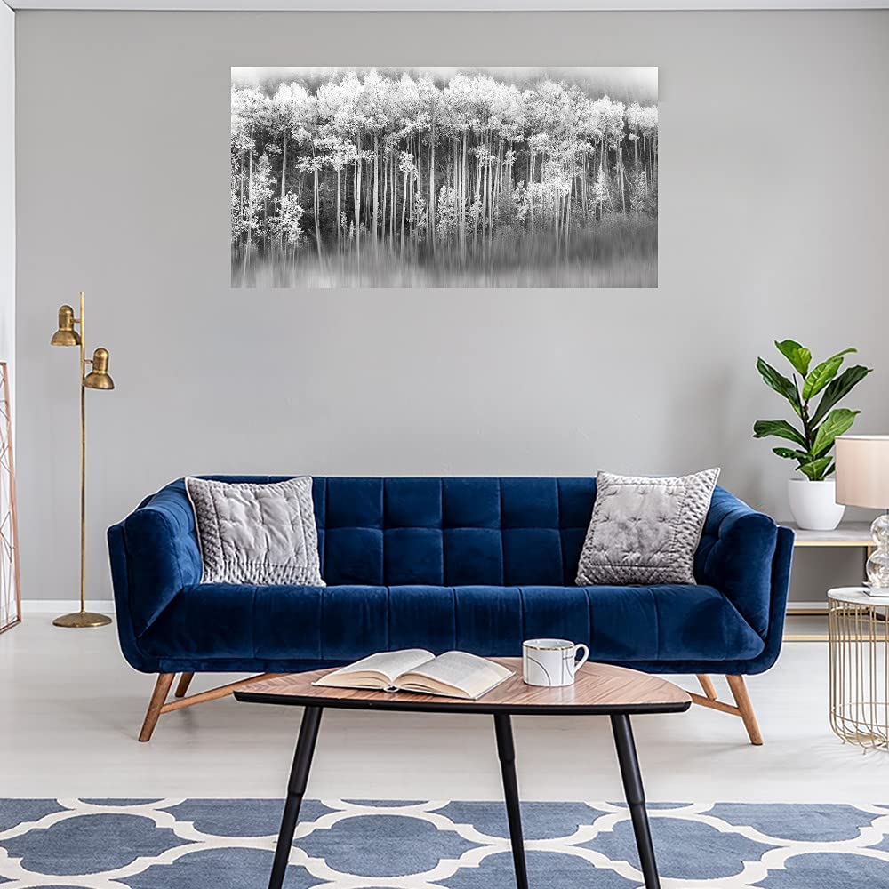 Dreamy Aspen Forest Canvas Wall Art Print by Danita Delimont - 40x21 Inch Ready to Hang Painting for Living Room, Bedroom, Office Decor - Nature Landscape Artwork for Home & Commercial Spaces