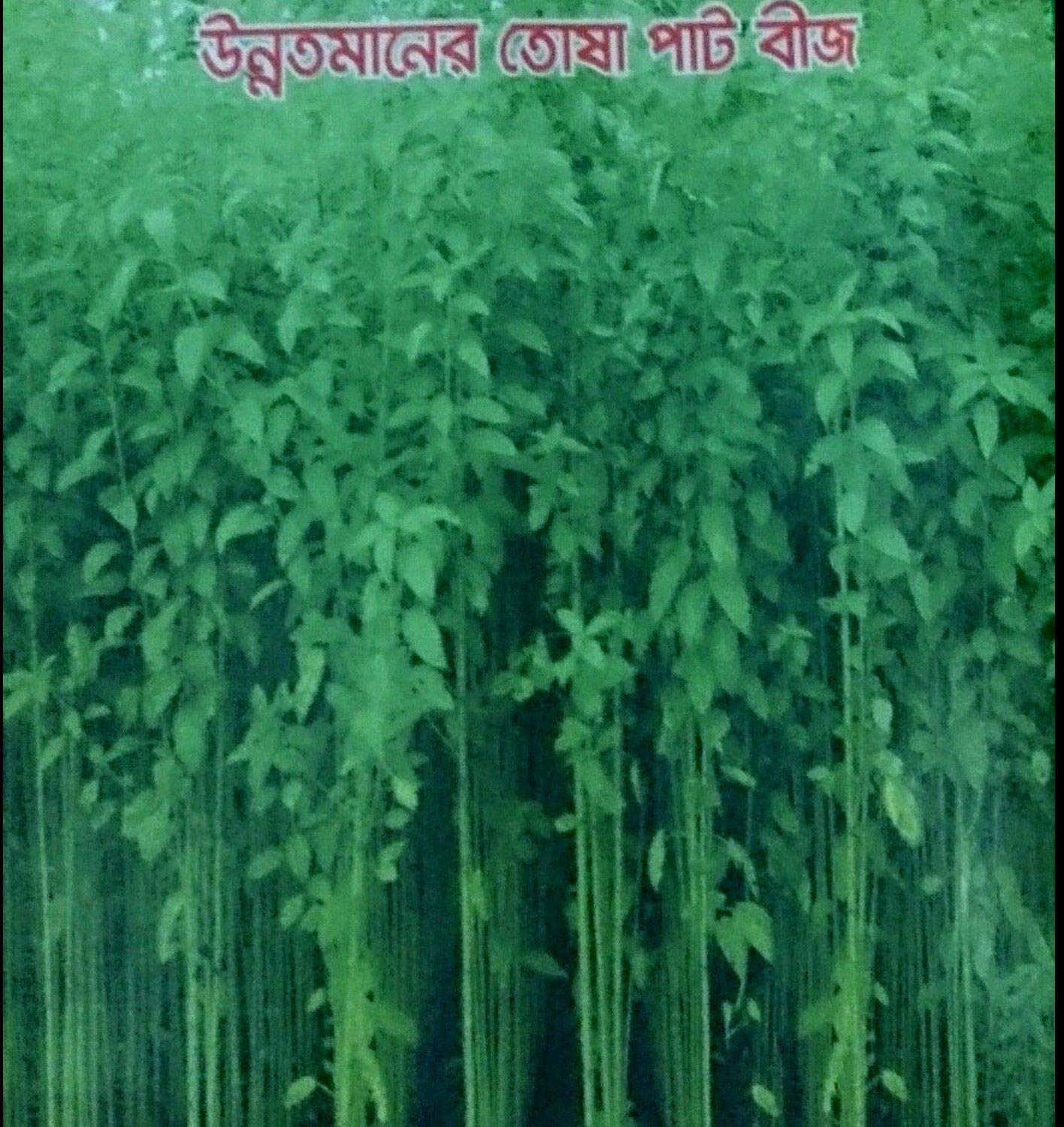Organic Bangladeshi Jute Seeds (Pat Shak) | Molokhia Egyptian Spinach (NALI Saag Beej) | Non-GMO Heirloom Seeds for Home Gardening, Cooking & Healthy Eating