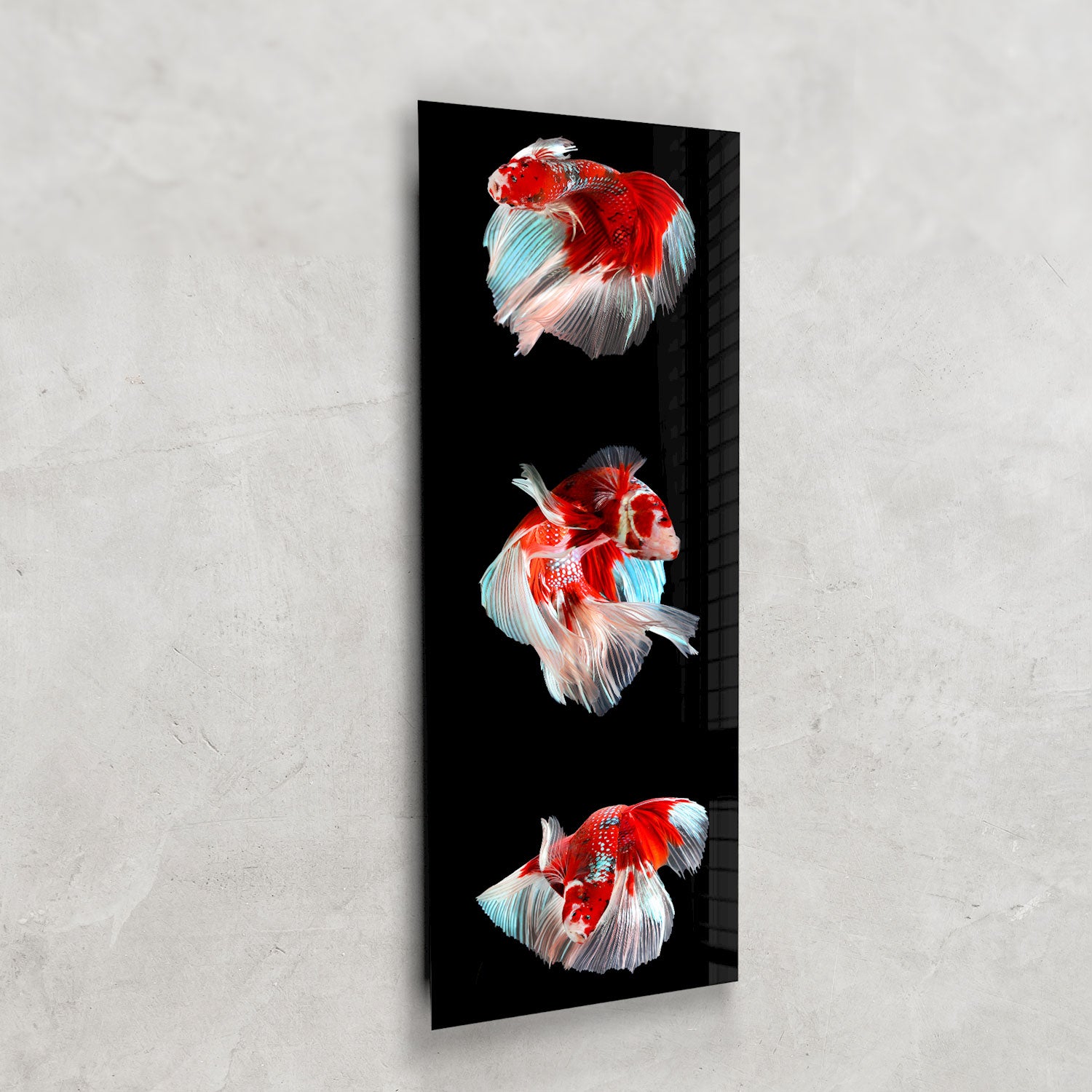 Trinity Betta Fish Tank - Panoramic View Aquarium for Home & Office Decor | Perfect for Betta Fish Lovers & Aquatic Enthusiasts