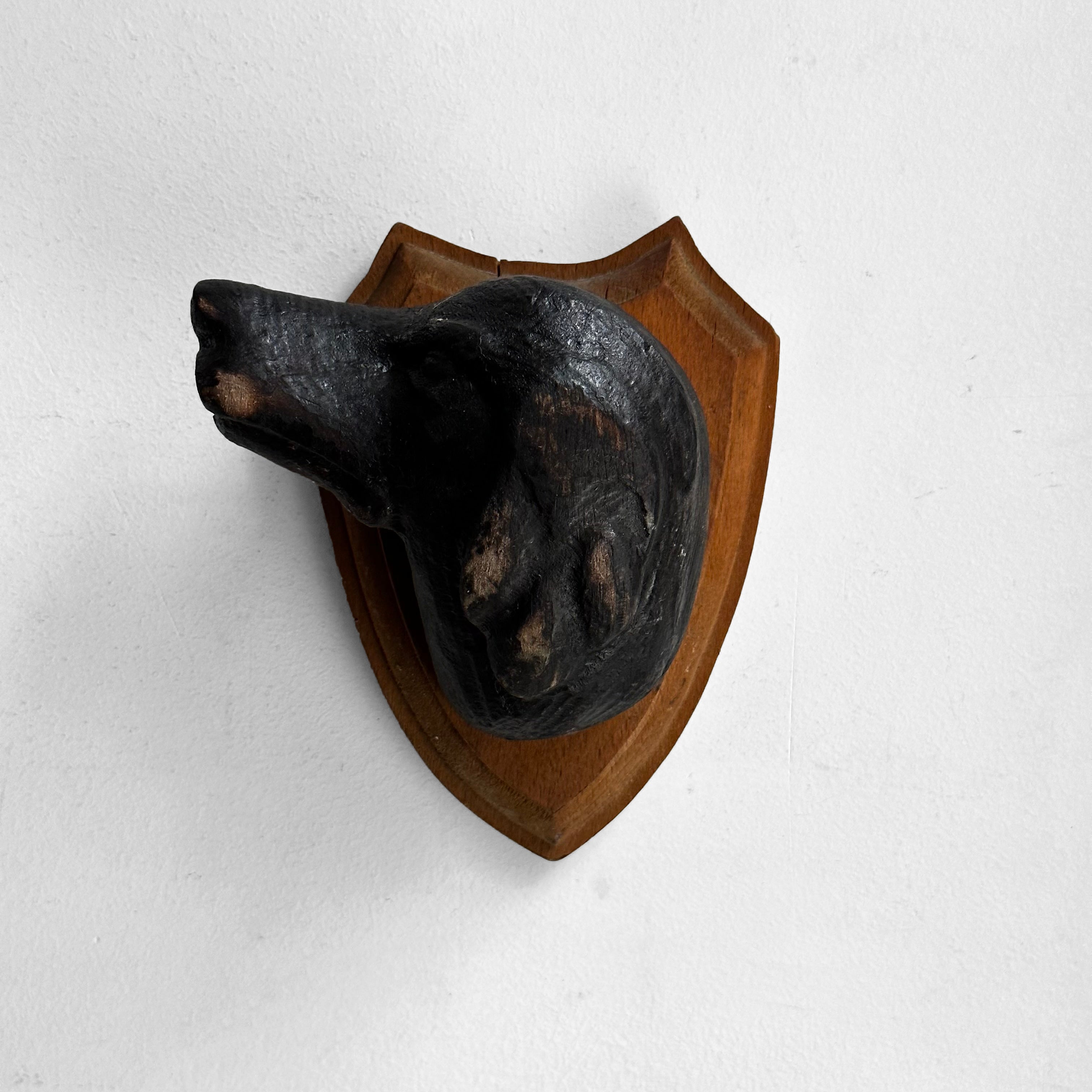 Antique Black Forest Hand Carved Dog Head Sculpture (D01) - Vintage Home Decor, Perfect for Cabin, Lodge & Gothic Interior Design