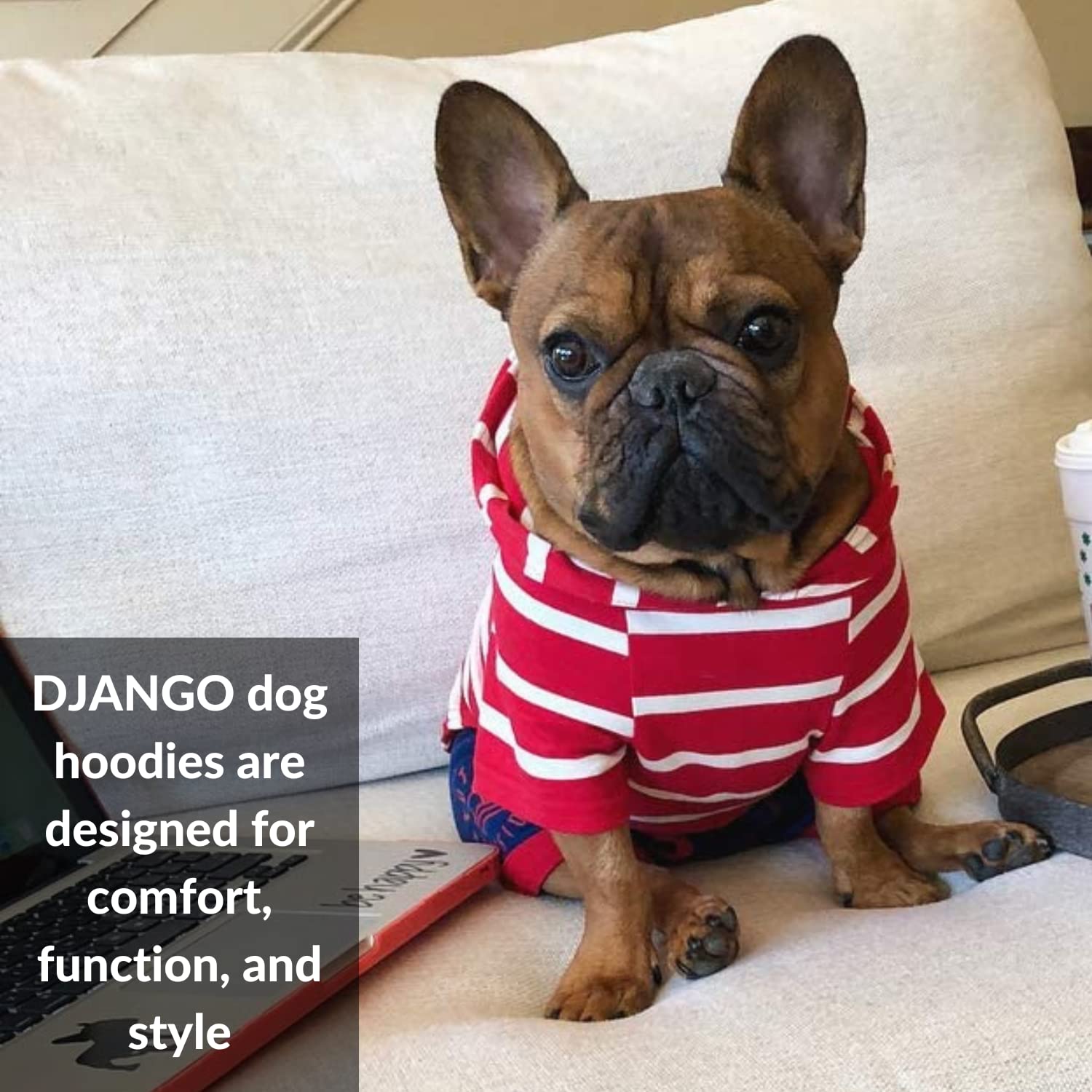 DJANGO Dog Hoodie - Soft & Stretchy Winter Sweater for Dachshunds & Small Dogs - Cozy Red Dog Sweatshirt with Elastic Waistband & Harness Hole - Machine Washable Pet Clothing for Cold Weather - Perfect for Outdoor Walks & Indoor Lounging