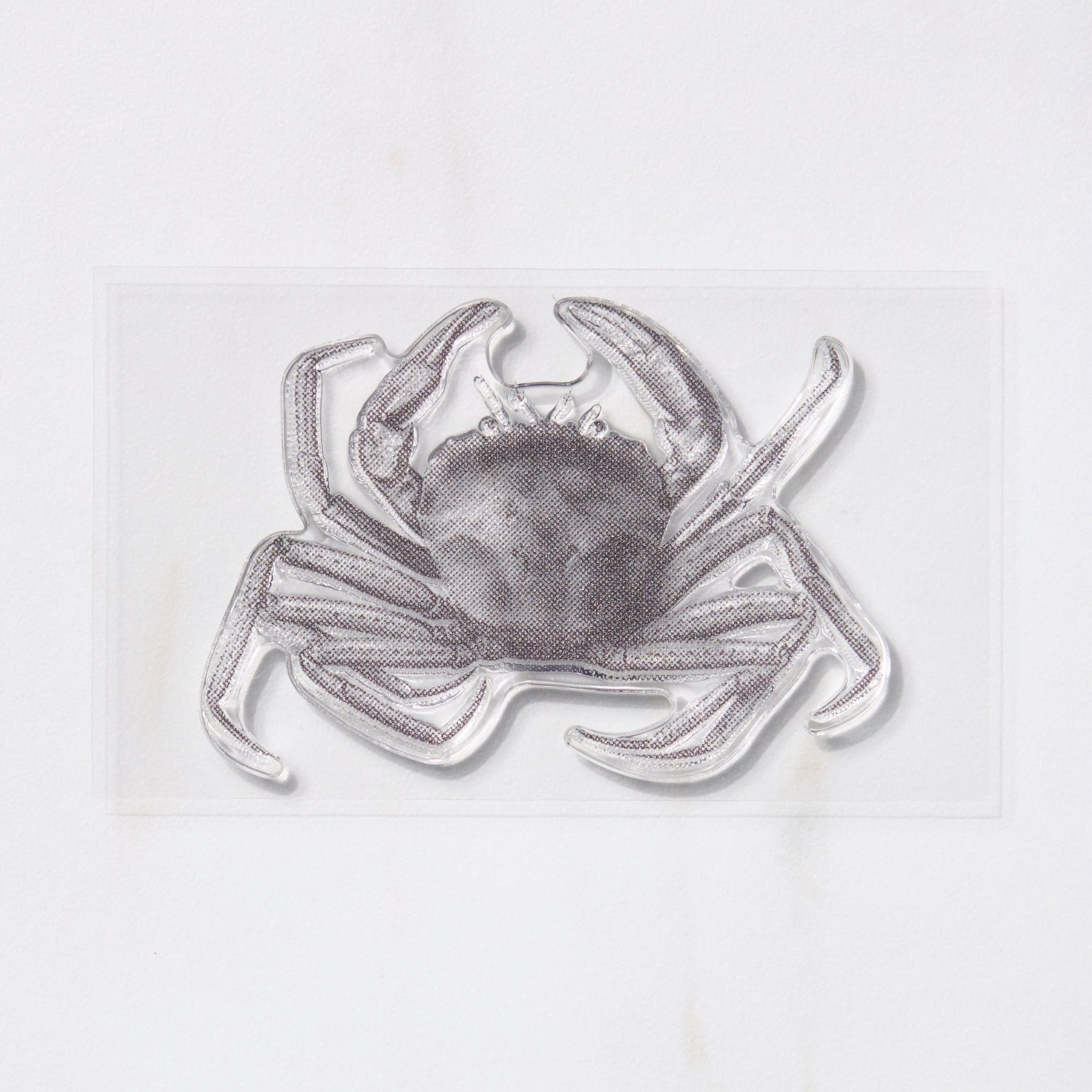 TO MEI HAN Biology Stamps - 3D Trigram Science Stamps for Kids, Perfect for School Projects, DIY Scrapbooking & Educational Activities