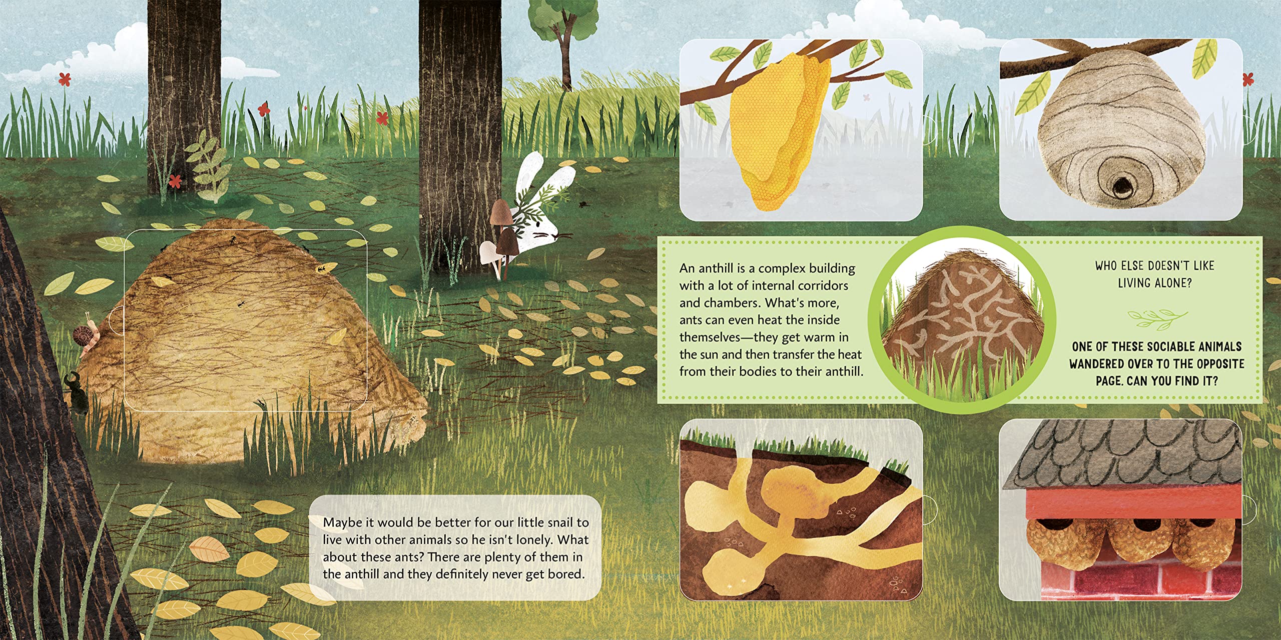 Whose Home Is It? - Nature Stories for Kids | Educational Wildlife Book for Children | Perfect for Bedtime Reading & Classroom Learning