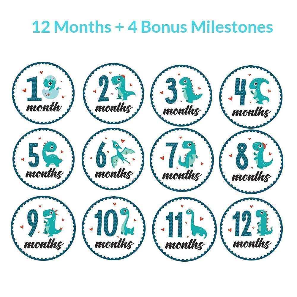 HarperLynn Baby Closet Dividers Set of 8 & Monthly Milestone Onesie Stickers (16pcs) - Nursery Organization & Newborn Photo Props for Baby Shower Gifts