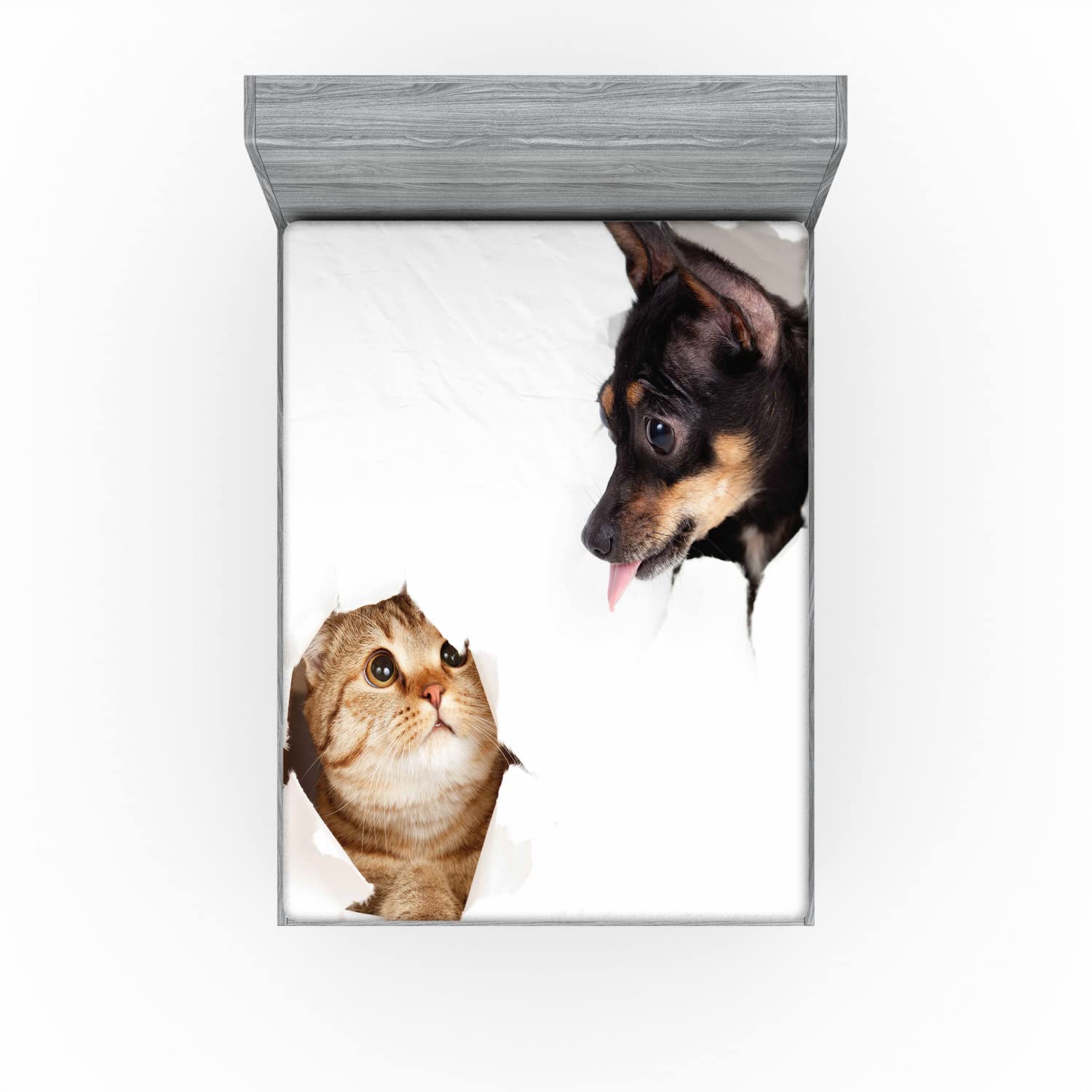 Funny Cat & Dog Print Fitted Sheet - Queen Size for Cozy Bedroom Decor