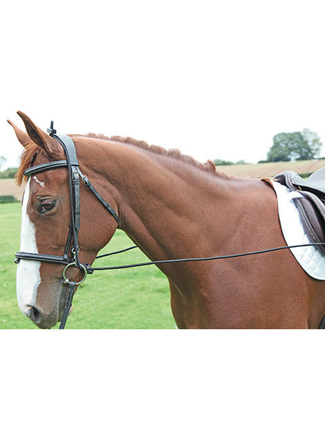 Elastic Training Reins for Horses - Adjustable Horse Training Equipment for Riding & Lunging - Perfect for Equestrian Training & Dressage Practice