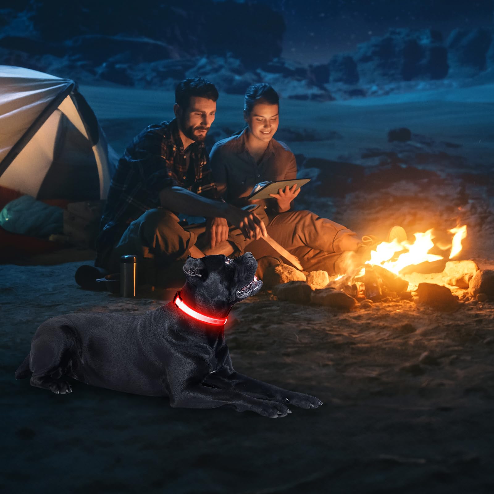 **Illumifun USB Rechargeable LED Dog Collar – Flashing & Glowing Safety Light for Night Walks – Waterproof & Adjustable (Red, X-Large) – Perfect for Nighttime Dog Walking, Jogging, and Outdoor Adventures**