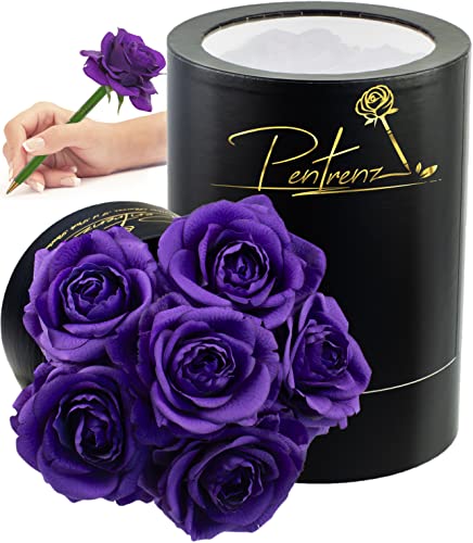 Dark Purple