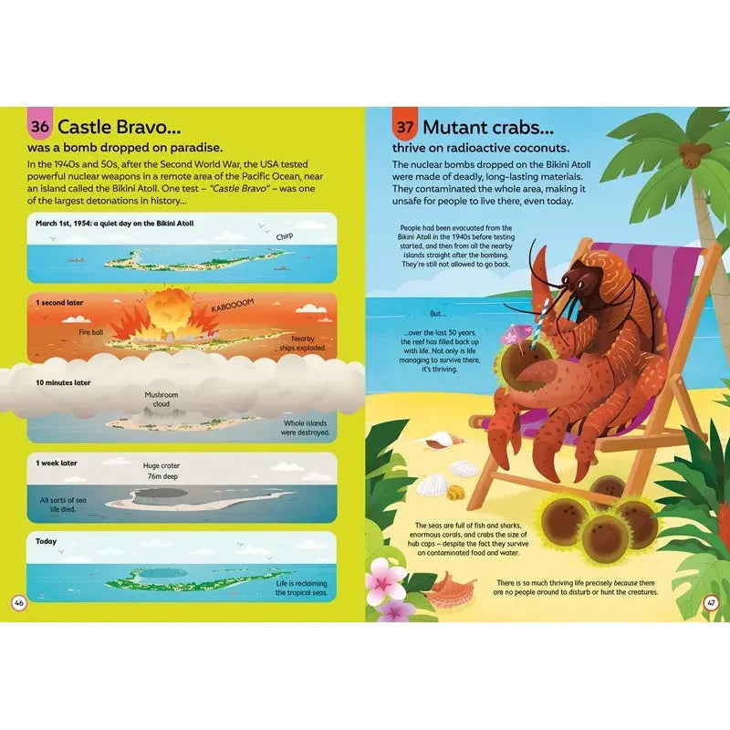 100 Fascinating Ocean Facts - Marine Life, Conservation & Fun Facts for Kids & Adults | Perfect for Education, Travel & Ocean Lovers