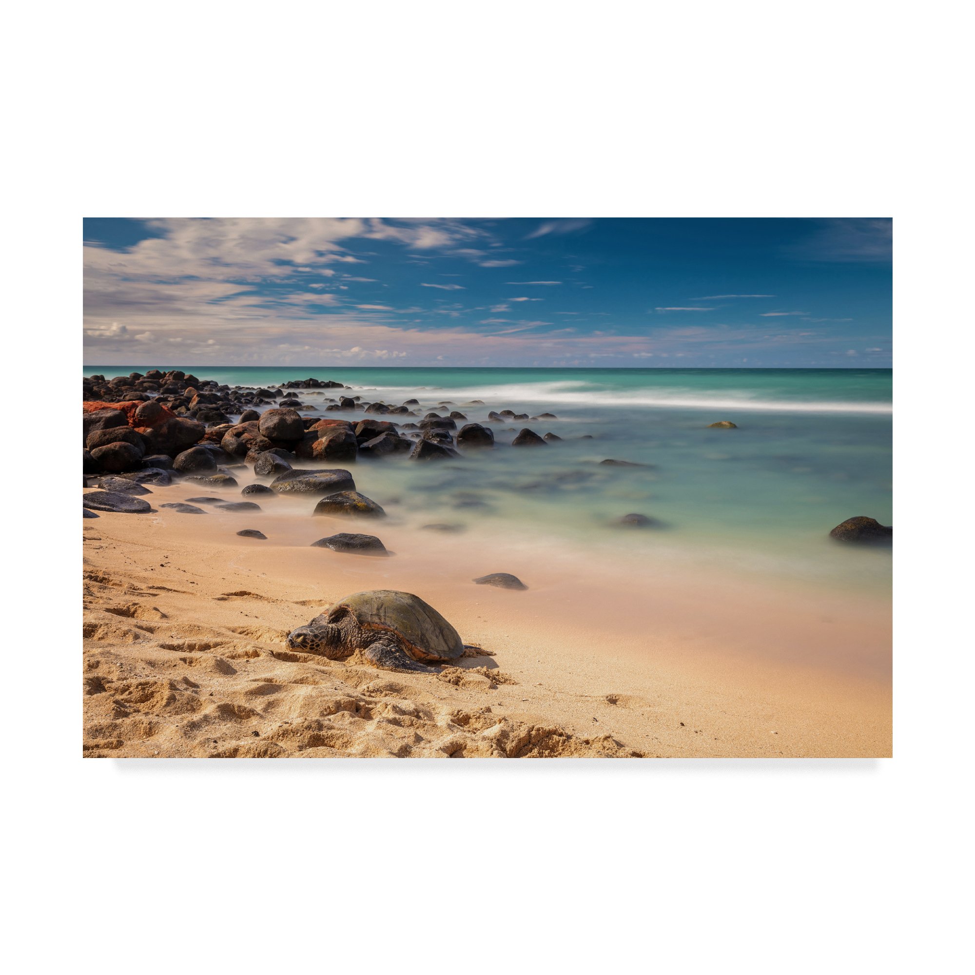 Pierre Leclerc Baby Beach Honu 30x47 Inch Hawaiian Sea Turtle Beach Blanket - Perfect for Picnics, Beach Outings, and Baby Playtime