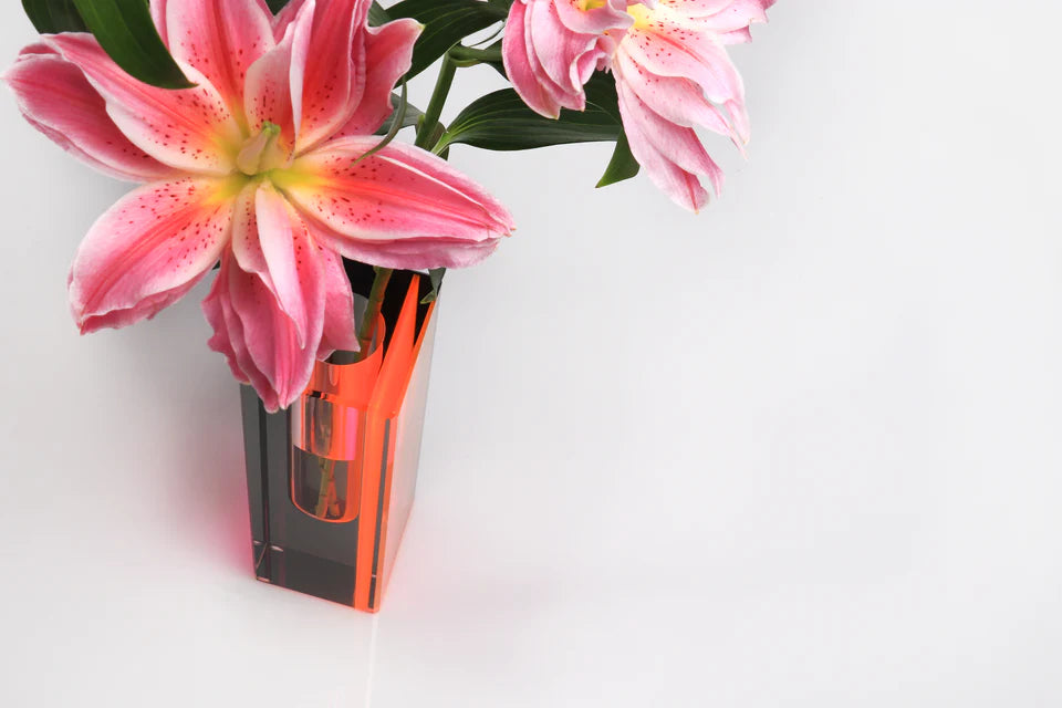 Alexandra Von Furstenberg Eclipse Tall Pink Vase - Limited Edition Home Decor for Modern Living Rooms & Luxury Gift Ideas
