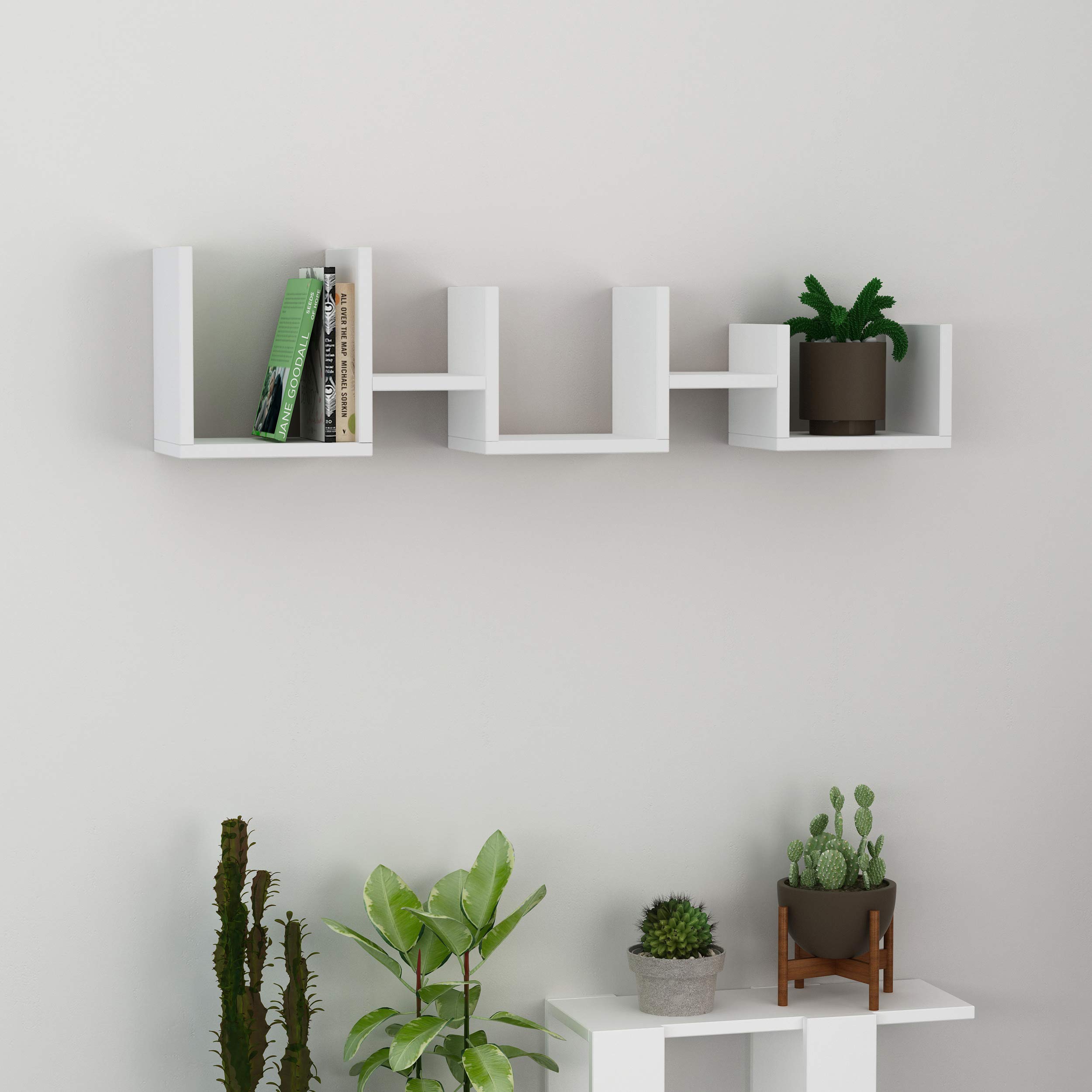 Ada Home Décor Waseca Floating Wall Shelf - 10.63