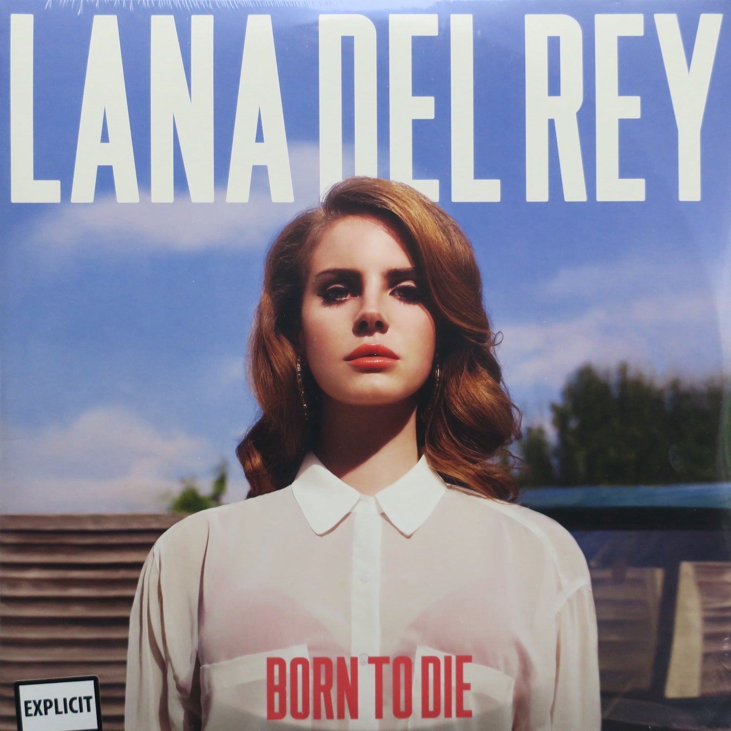 Lana Del Rey 'Born To Die' Vinyl 2LP Record Album - Limited Edition Music Collectible for Home Decor & Vinyl Enthusiasts | Perfect for Music Lovers, Record Collectors & Vintage Aesthetic Decor