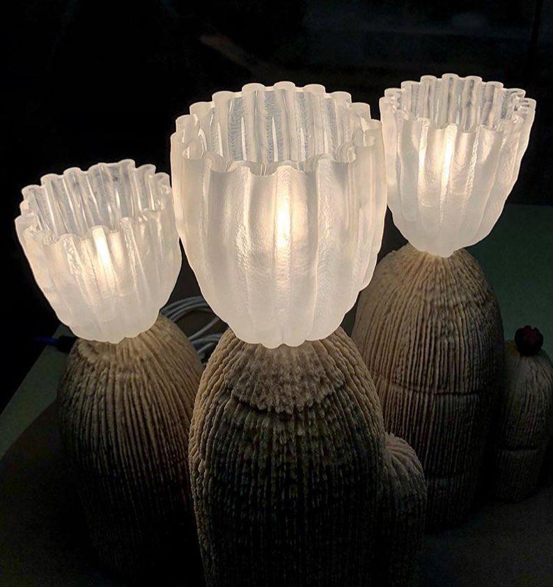 Cactus Lamp - 3D Night Light for Bedroom, Nursery & Living Room | USB-Powered LED Desk Lamp for Home Decor & Relaxation | Perfect for Kids Room, Office & Gift Ideas