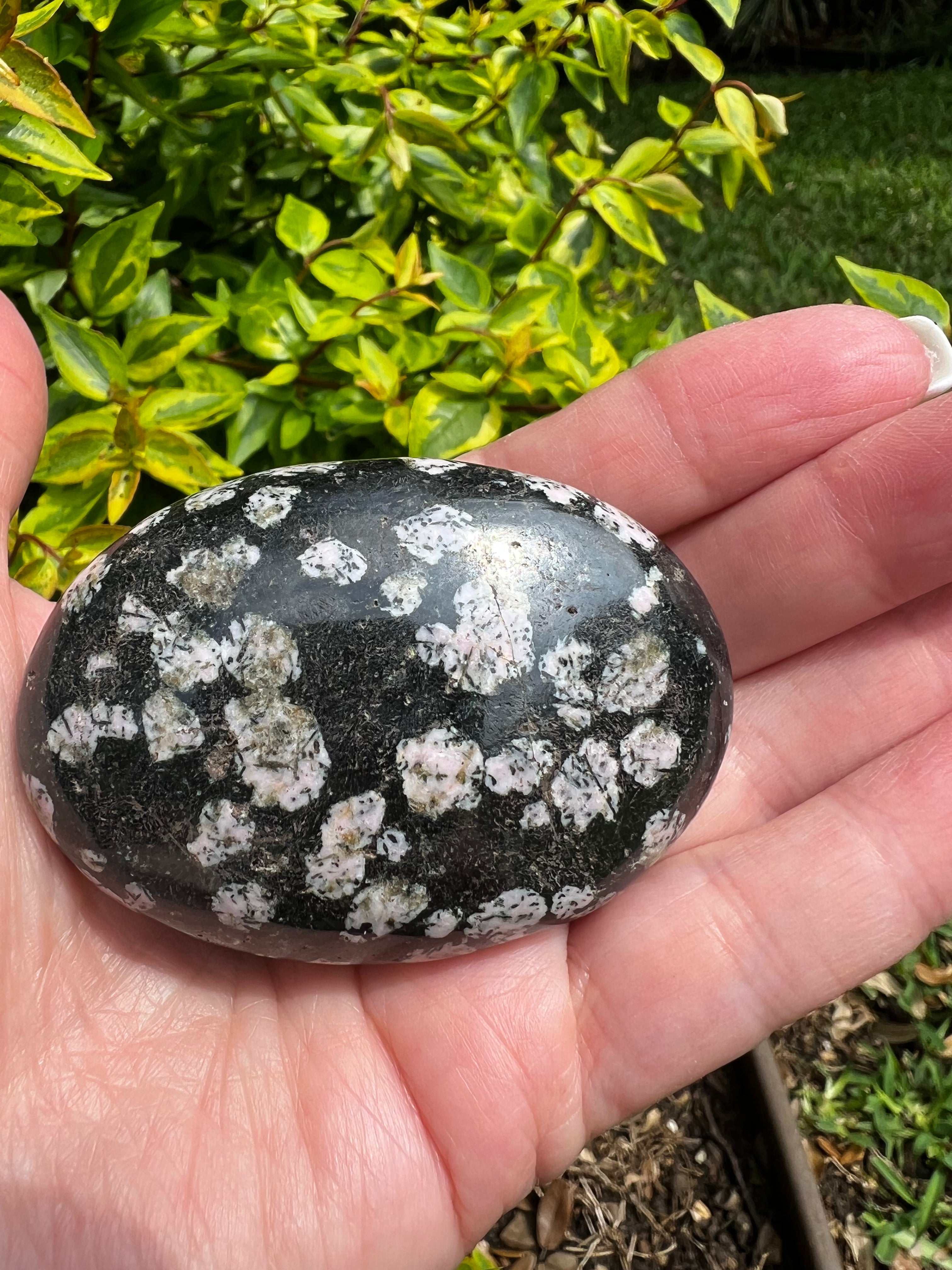 Snowflake Obsidian Palm Stone 2.5
