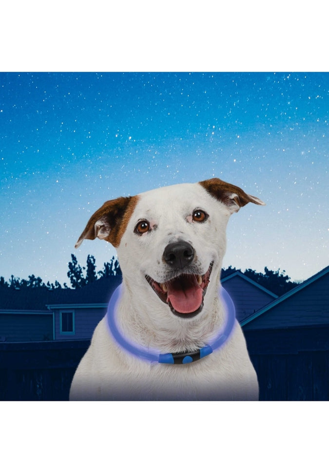 Nite Ize NITEHOWL® LED Safety Necklace - High Visibility Reflective Dog Collar for Night Walks, Running, Hiking & Outdoor Adventures - Clearance Sale