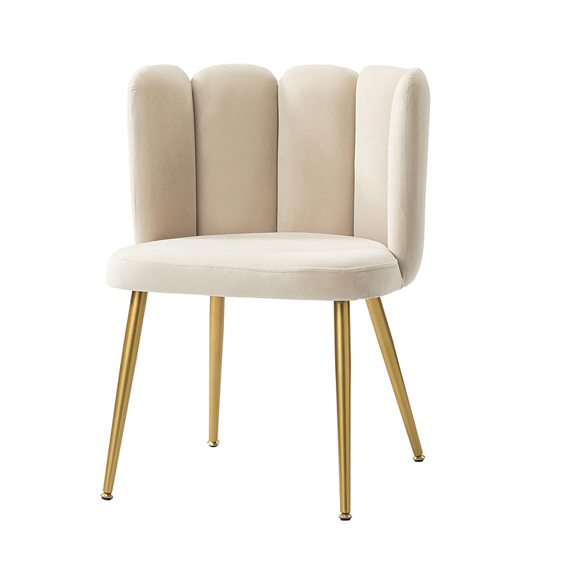 Elodia Side Chair - Modern Accent Chair for Dining Room, Living Room & Office - Sturdy Wooden Frame with Upholstered Seat - Perfect for Home Decor & Small Spaces
