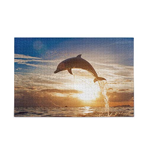 Jumping Dolphin