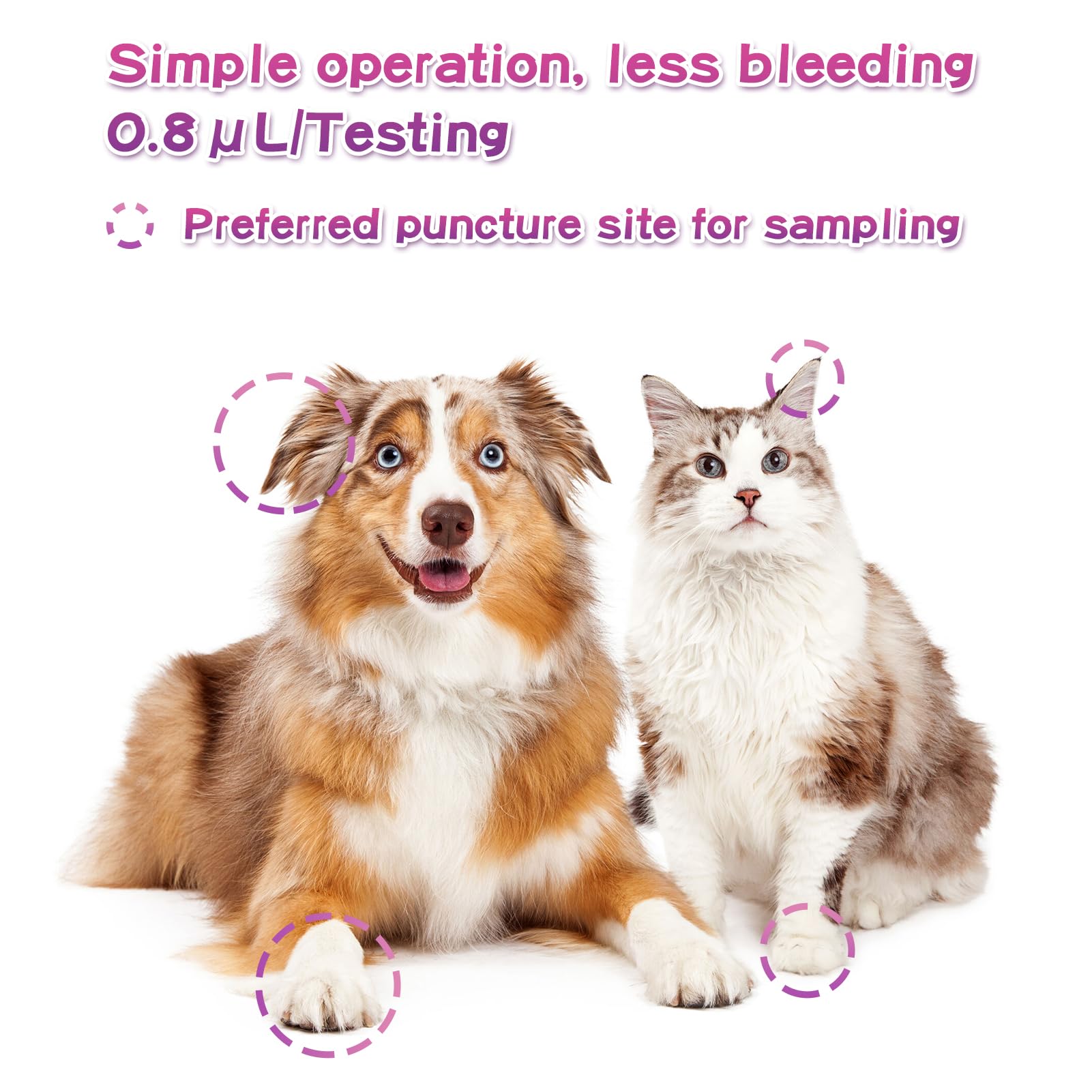 **AssuTest® 25 Blood Glucose + 25 Ketone Test Strips Combo Kit for Dogs & Cats – Diabetic & Ketoacidosis Monitoring with 50 Lancets – Ideal for Home Pet Health Testing**