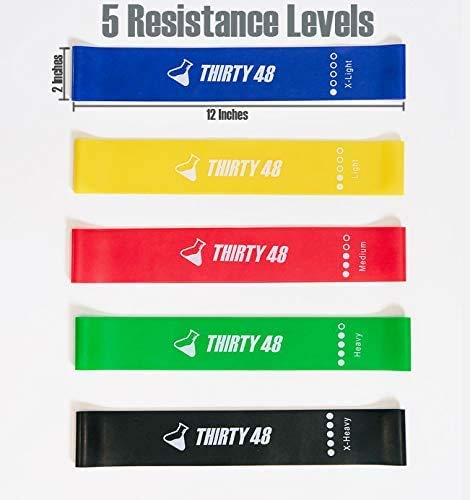 Thirty48 Gliding Discs Core Sliders with 5 Resistance Bands - Home Gym Workout Equipment for Strength Training, Stability Exercises & Full Body Fitness - Includes User Guide & Carry Bag - Perfect for Home, Office, Travel & Outdoor Workouts