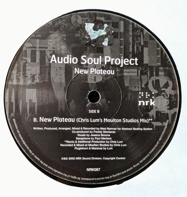 Audio Soul Project - New Plateau EP (2x12 Vinyl, VG+ Condition) | Perfect for DJ Sets, Music Collectors & Vinyl Enthusiasts