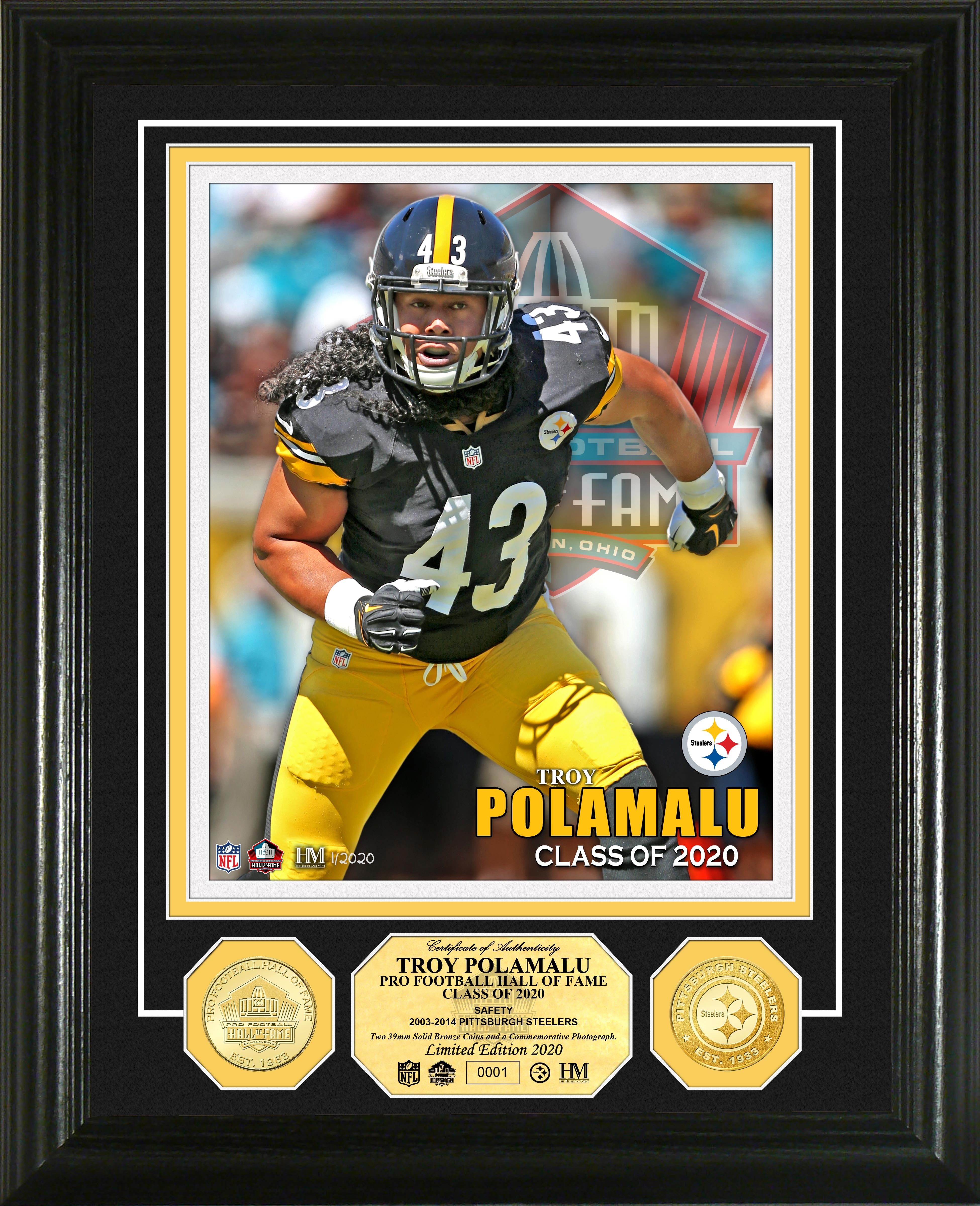 Troy Polamalu 2020 Hall of Fame Commemorative Bronze Coin with Photo - Limited Edition Collectible for NFL Fans & Sports Memorabilia Enthusiasts - Perfect for Display, Gifts, and Football Collections