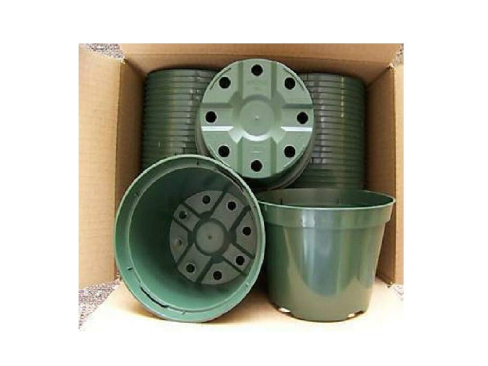 250 Pcs 4 Inch Azalea Green Plastic Plant Pots - Durable Nursery Planters for Greenhouse, Outdoor Gardening & Indoor Plants (Great for Seedlings, Herbs, Flowers & Small Plants)